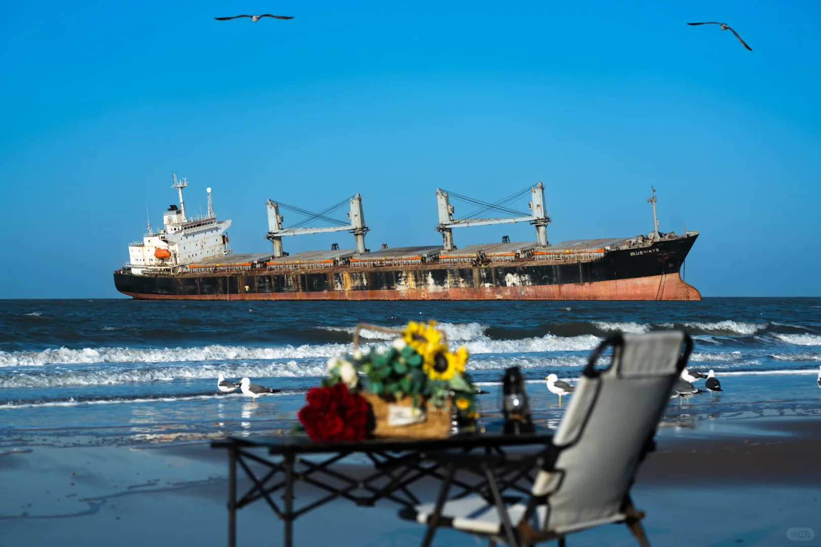 威海很好，就是冻人！！！