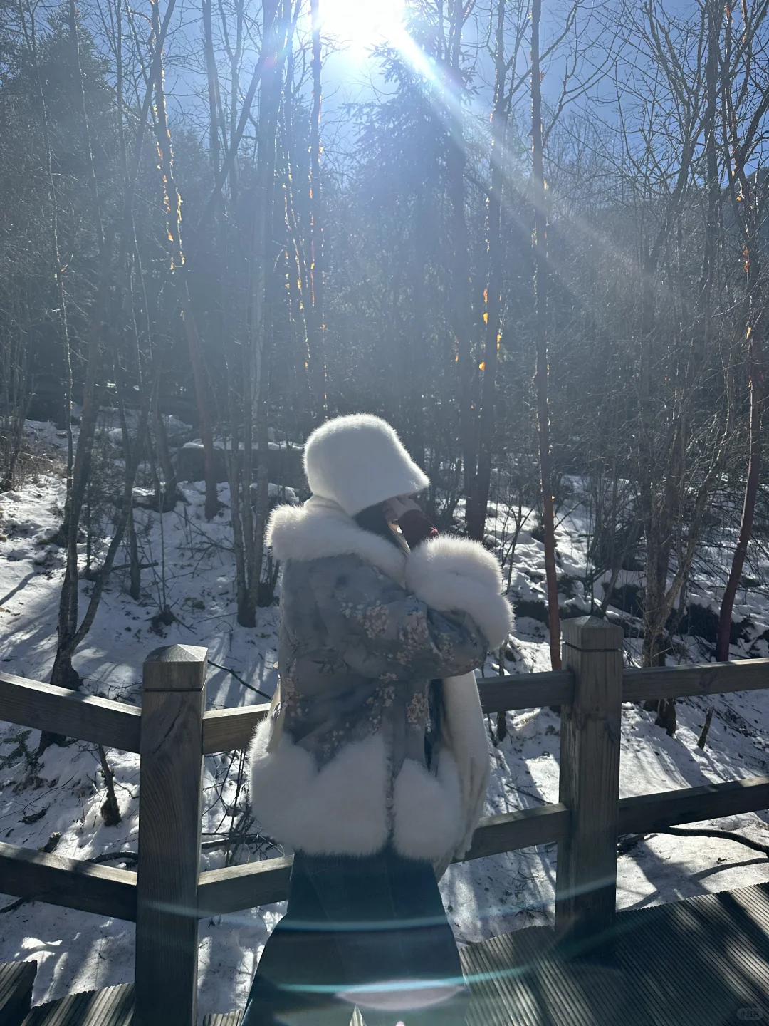 1月现状📍谁说这是淡季😱春节要来的宝听劝！