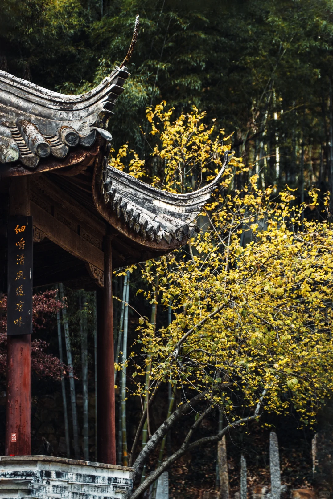 冬季来常熟，本地人推荐这8个小众景点！