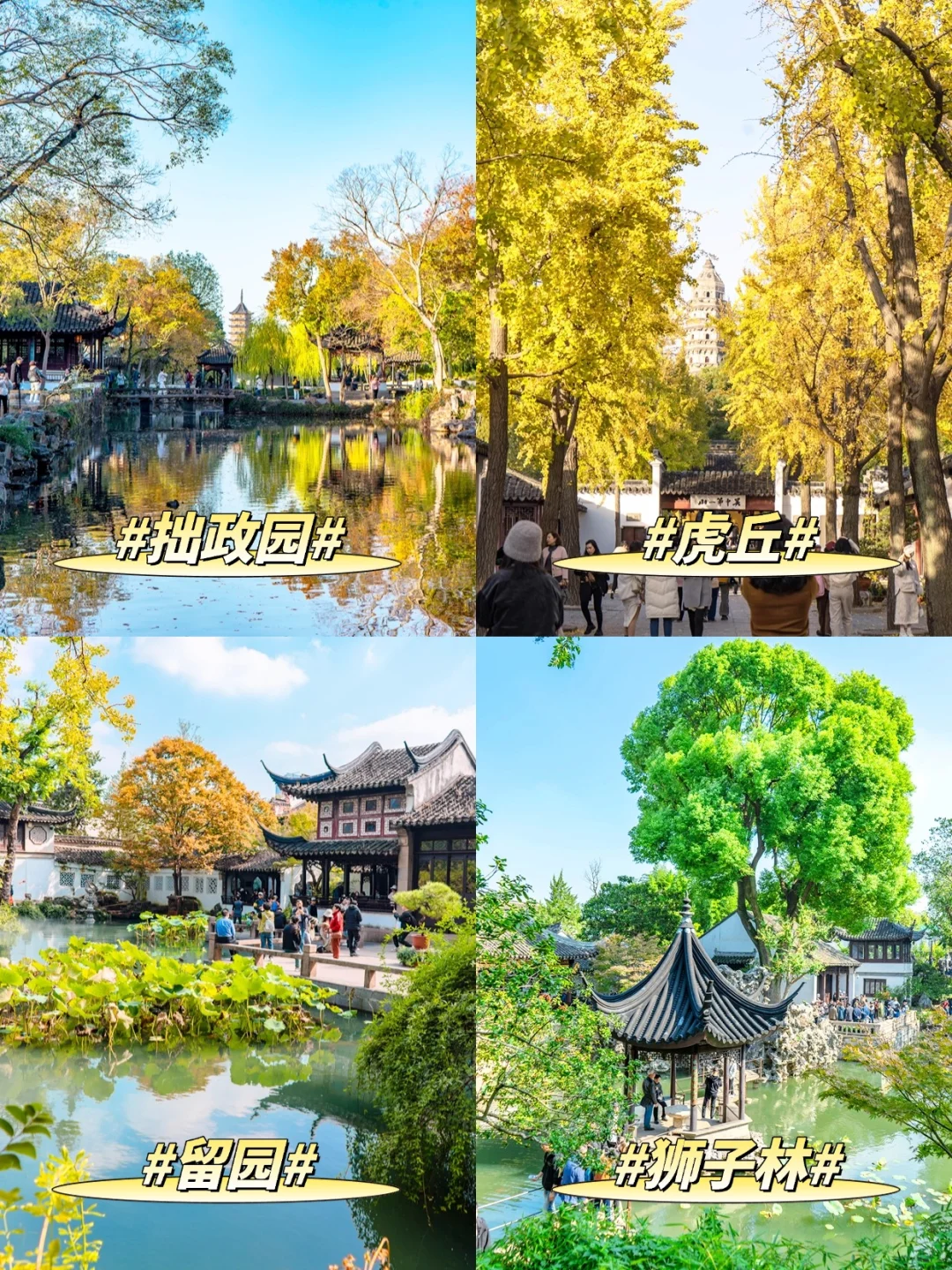 12-2月，苏州旅游zui新攻略！千万别玩错了