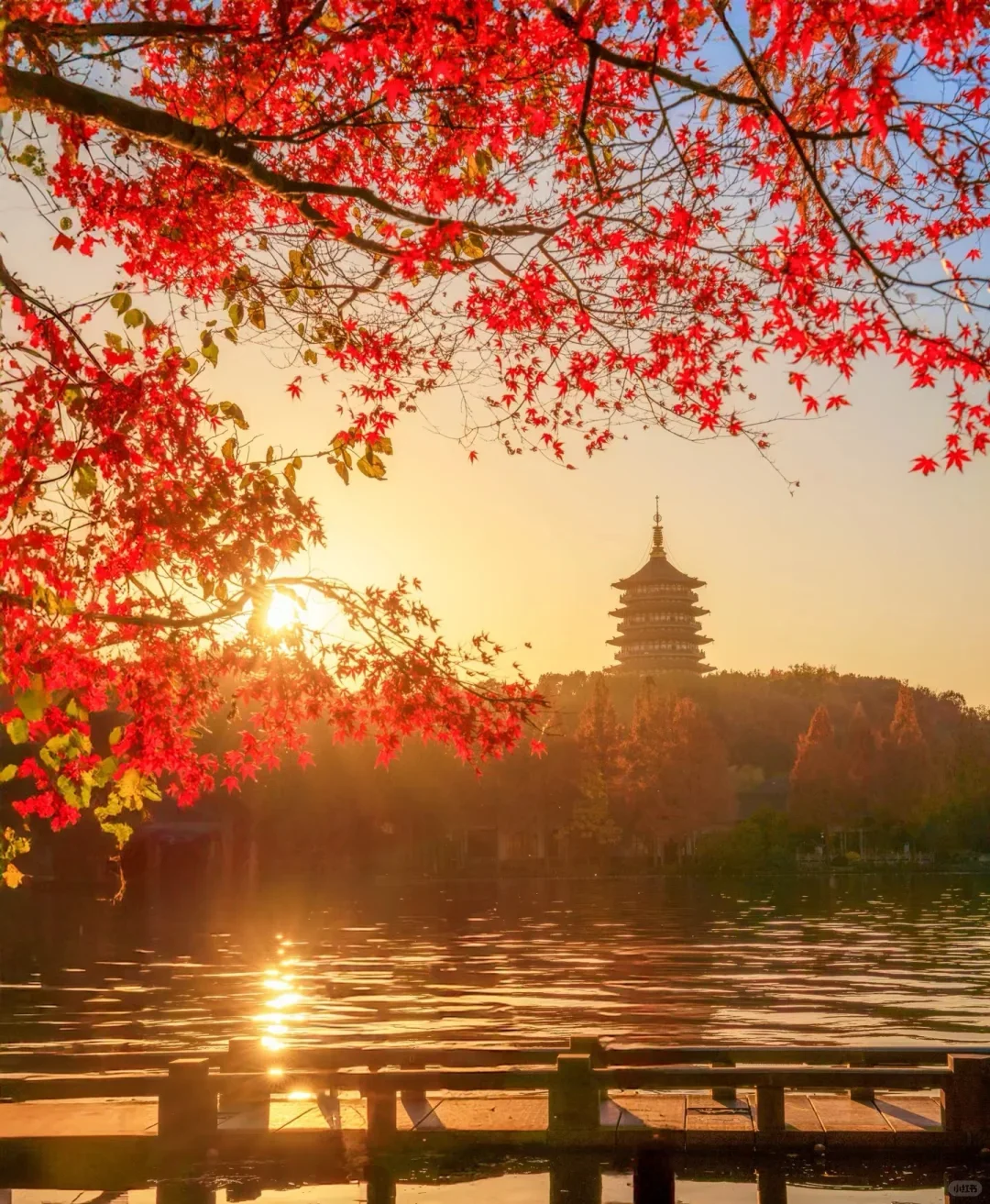 醉美西湖，一场诗意的邂逅之旅