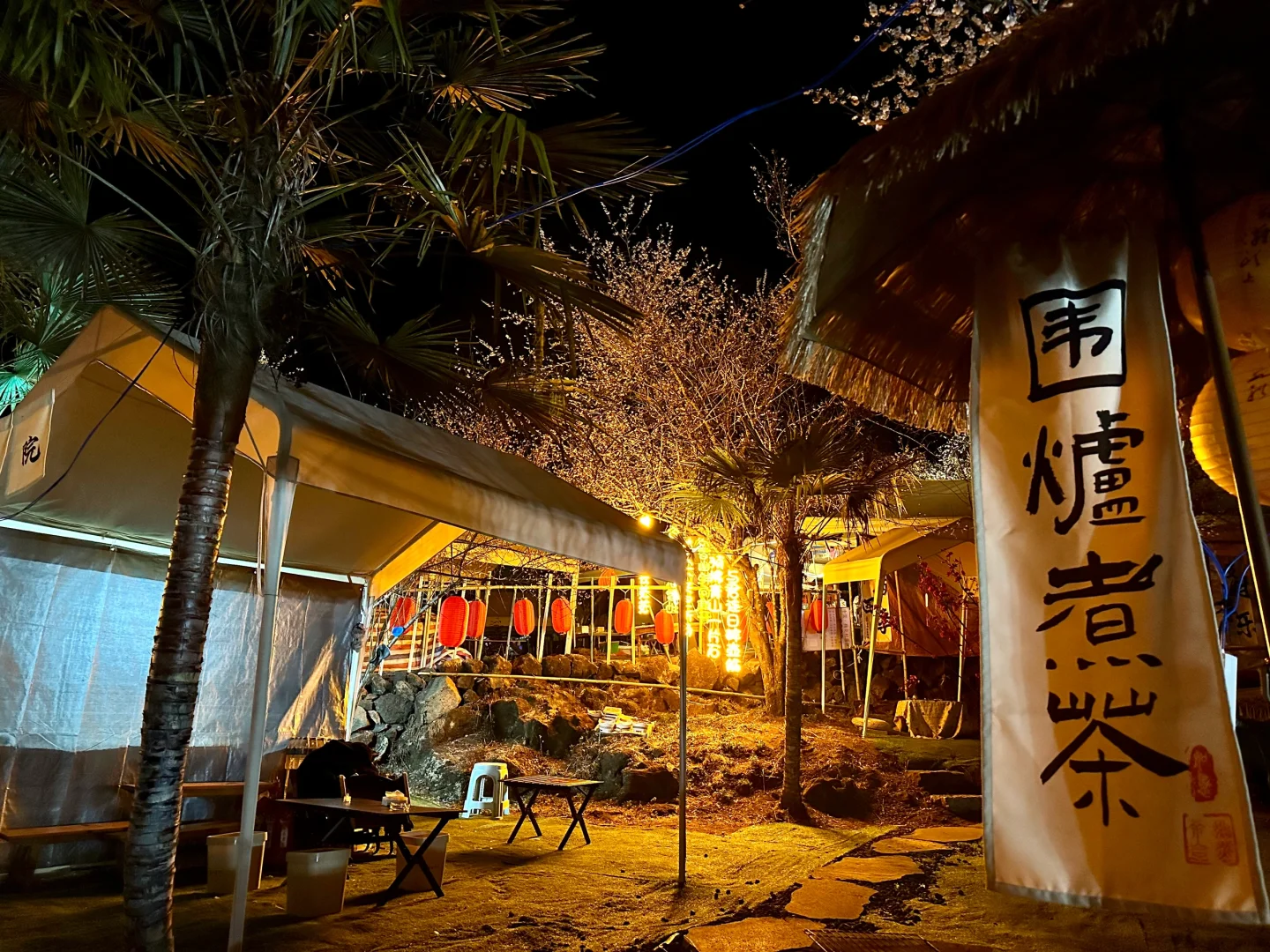 听劝🔥腾冲春节小众梅花打卡地