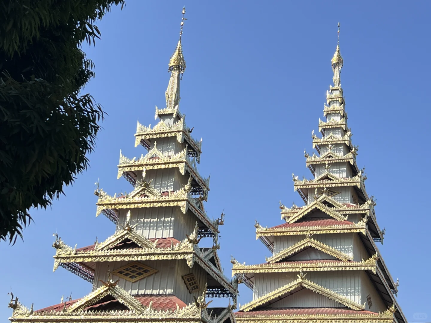 云南·瑞丽·傣王宫总佛寺·姐勒金塔·榕树王