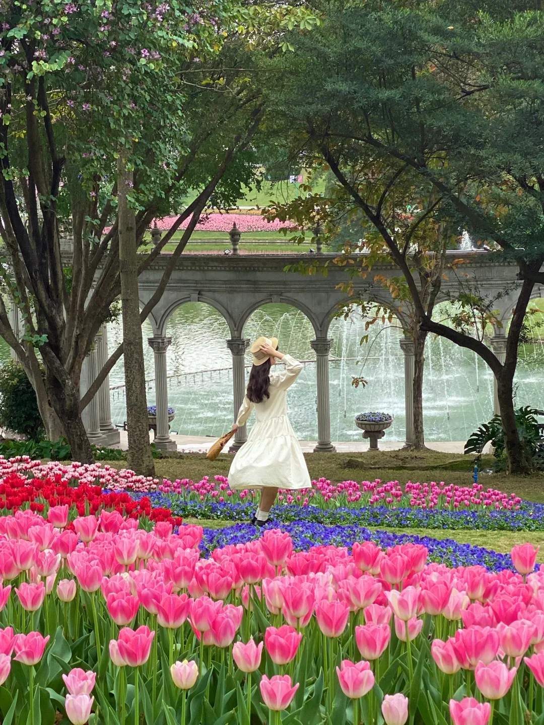 这是我买iPhone的意义🌸春夏秋冬Live~