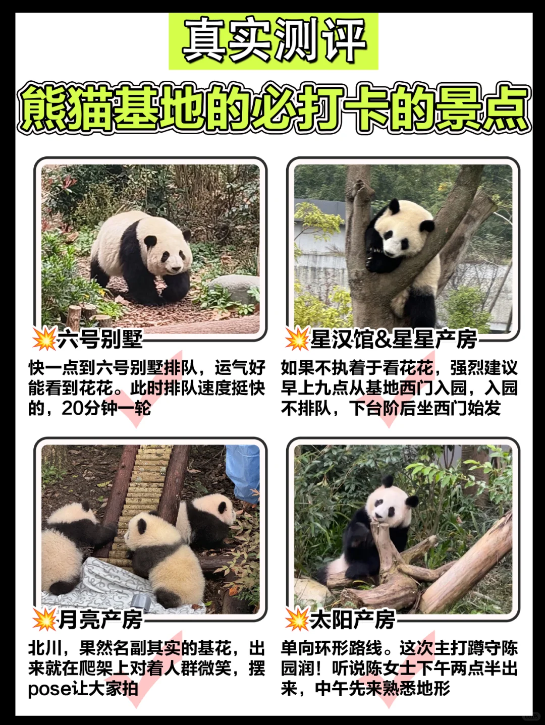 🐼成都｜熊猫基地+三星堆一日旅游攻略