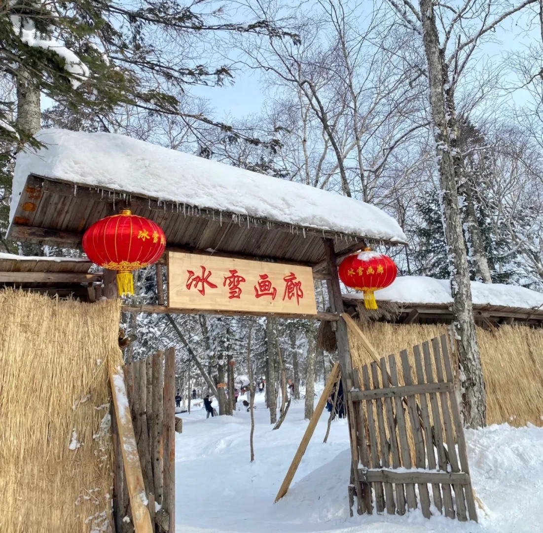 亚布力雪乡包车一日游 就是靠谱实惠