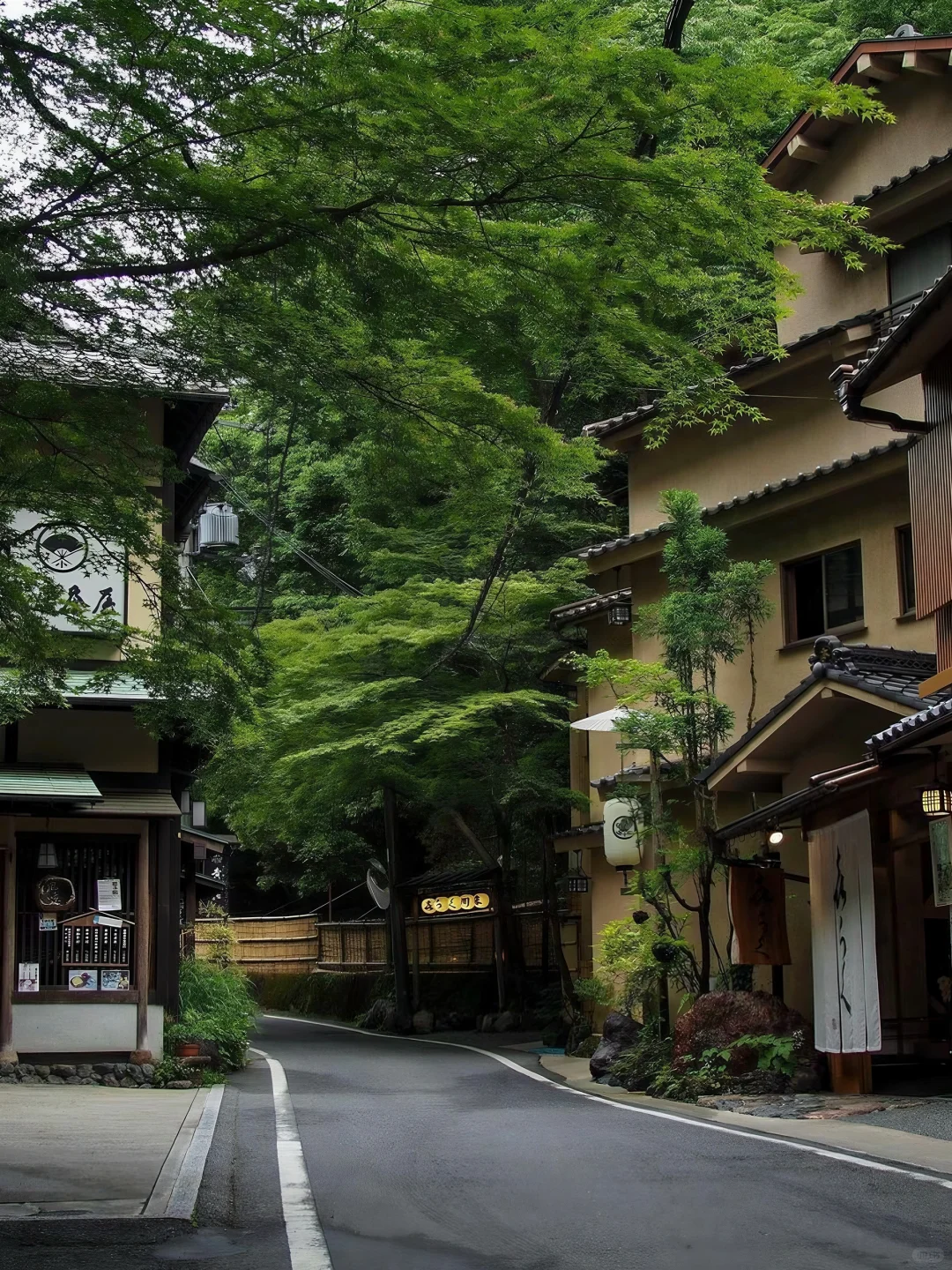 日本｜第三次来京都｜我的7️⃣个小众景点分享