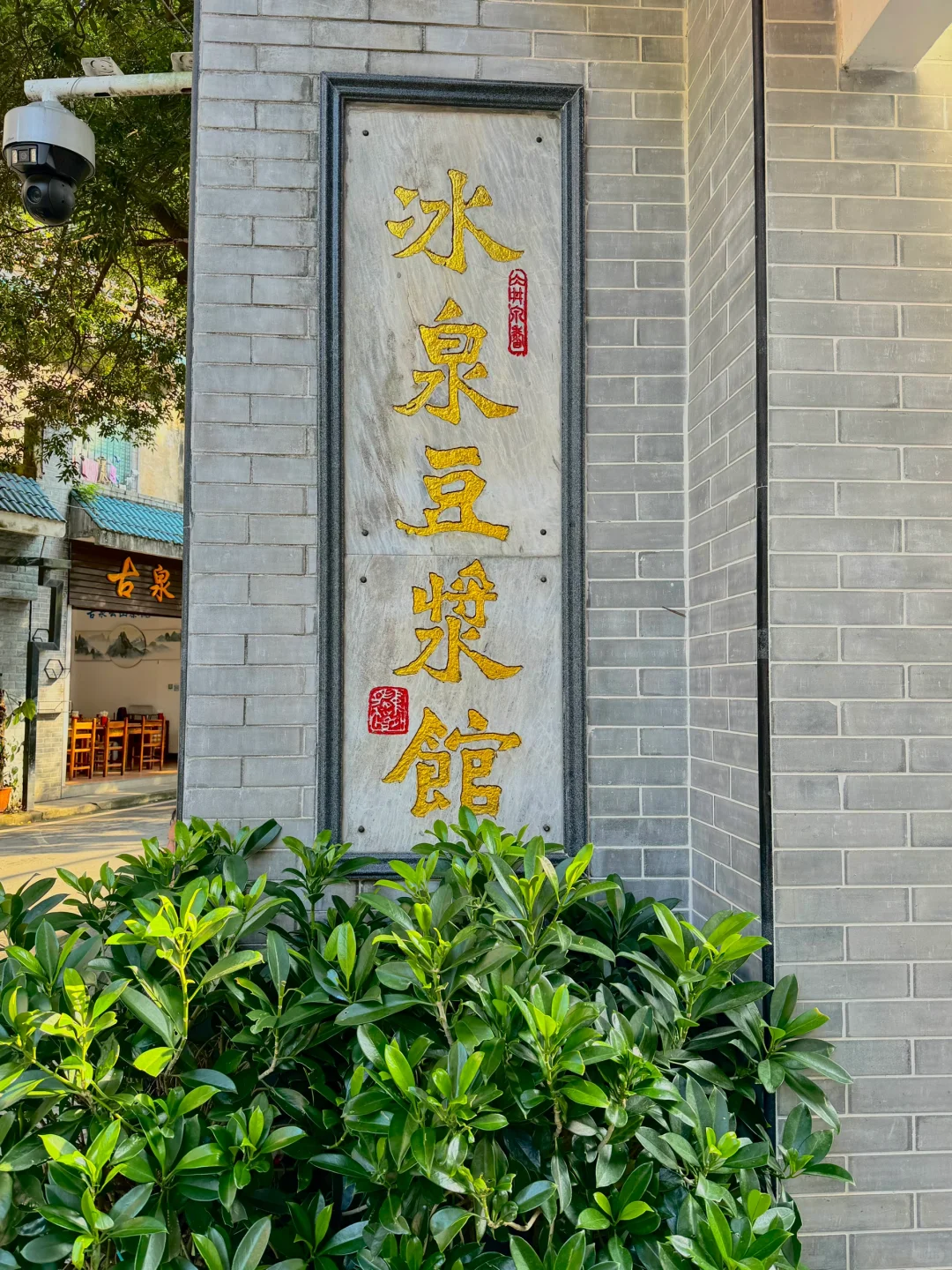 广西梧州吃喝玩乐地图‼️懒人攻略直接抄‼️