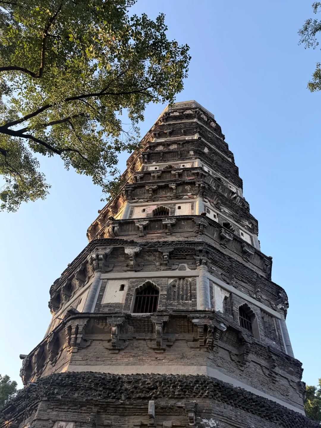 苏州4️⃣日游攻略已做好✅1月在线找搭子‼️