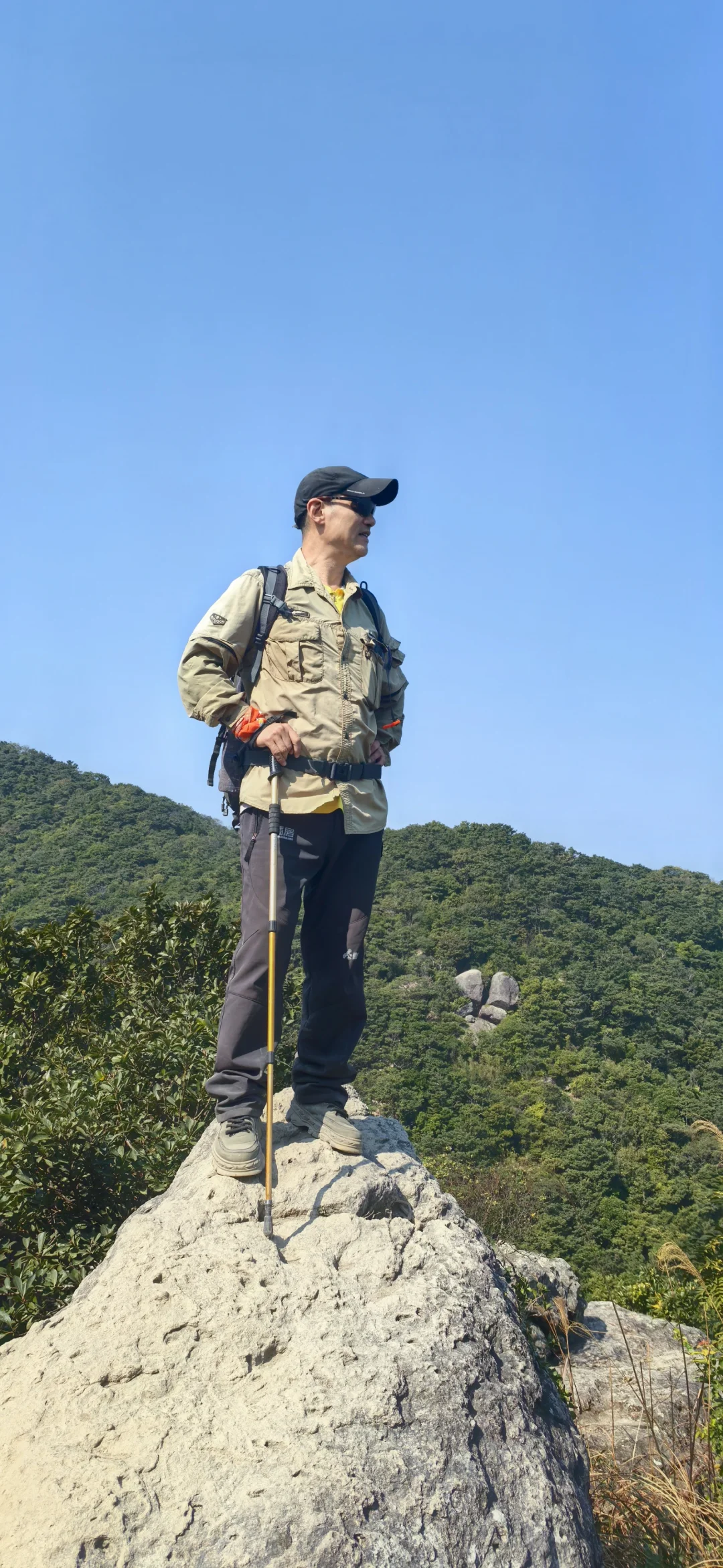 这就是望郎归。