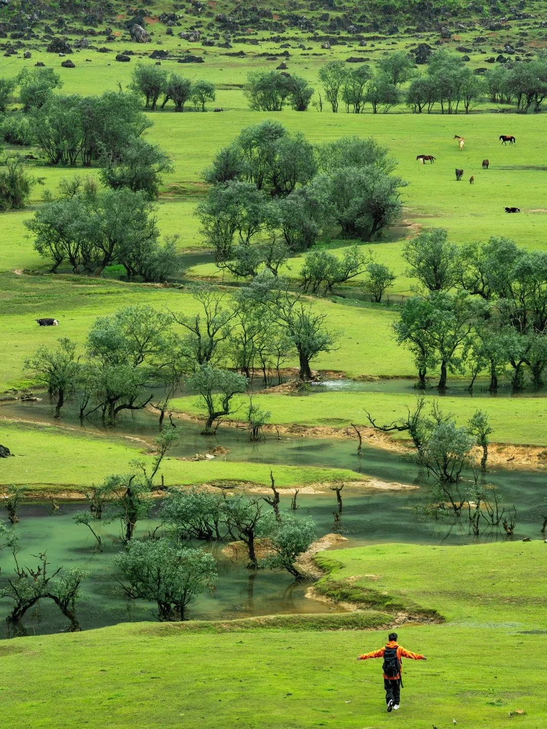 世界慢慢游｜以为桂林很美了❗️直到我去了……