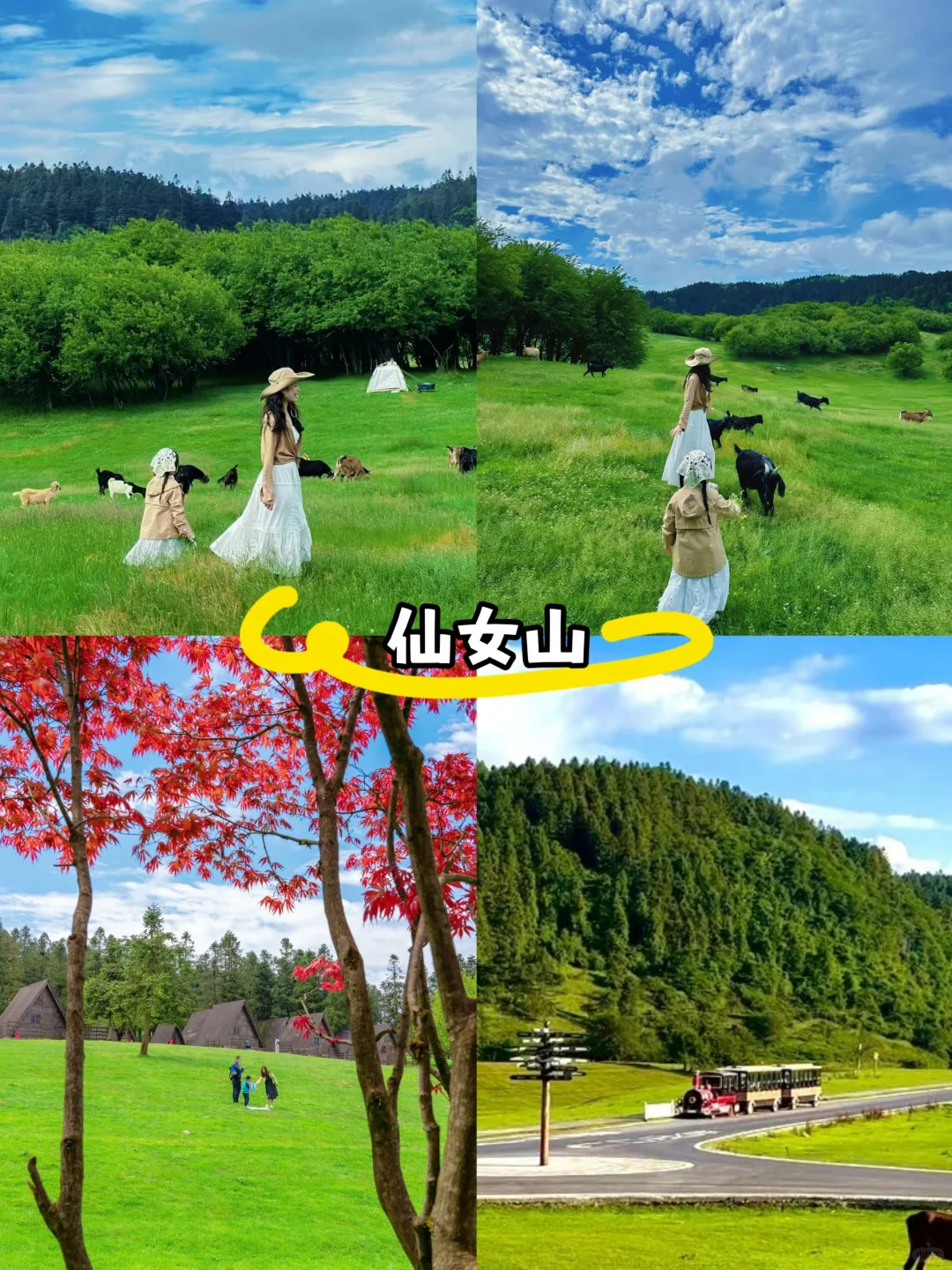 重庆四天三晚🌈人均600+💰吃住行玩全包❗