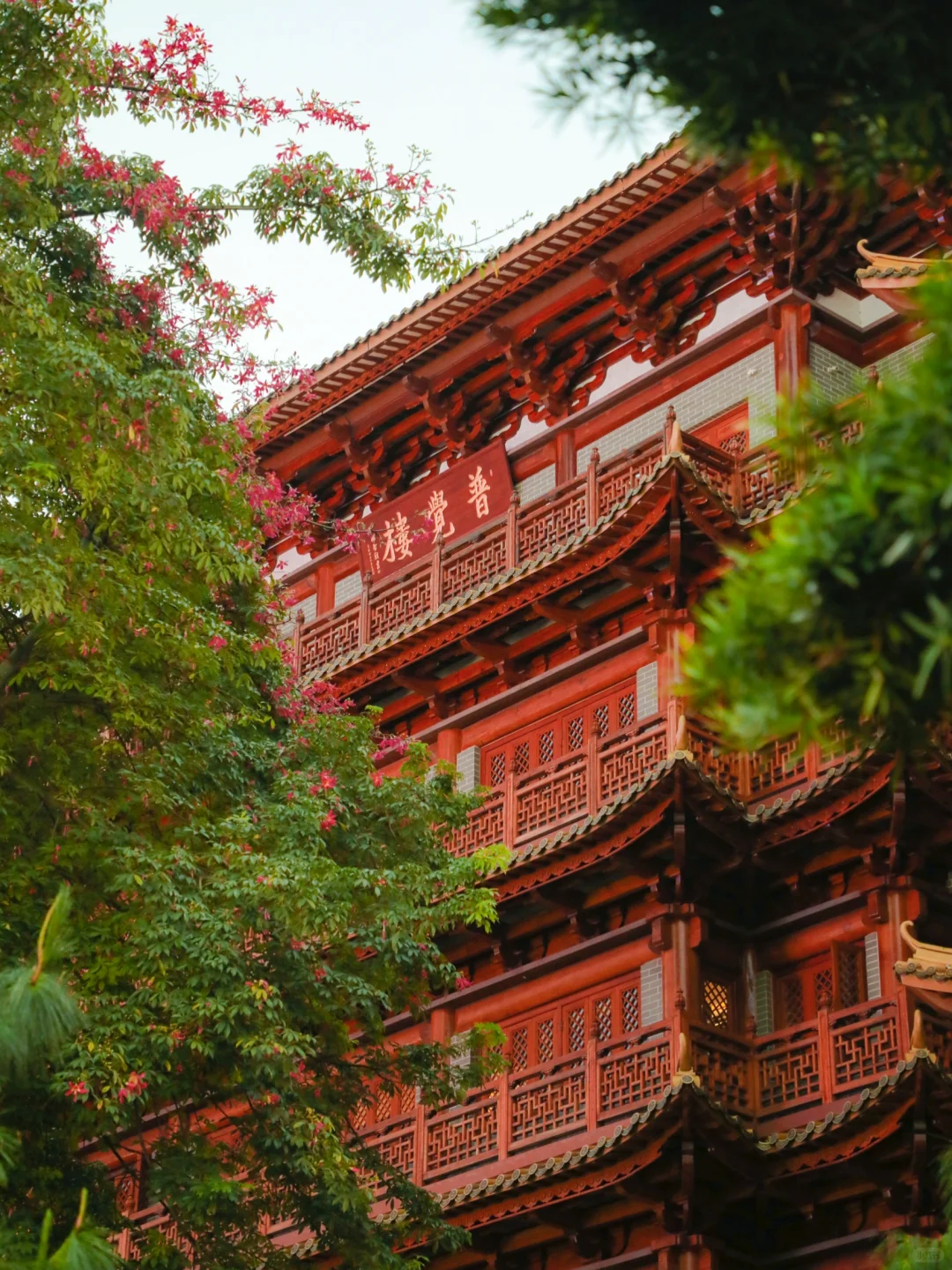 人生建议‼️离开广州前要拍的1️⃣5️⃣张照片