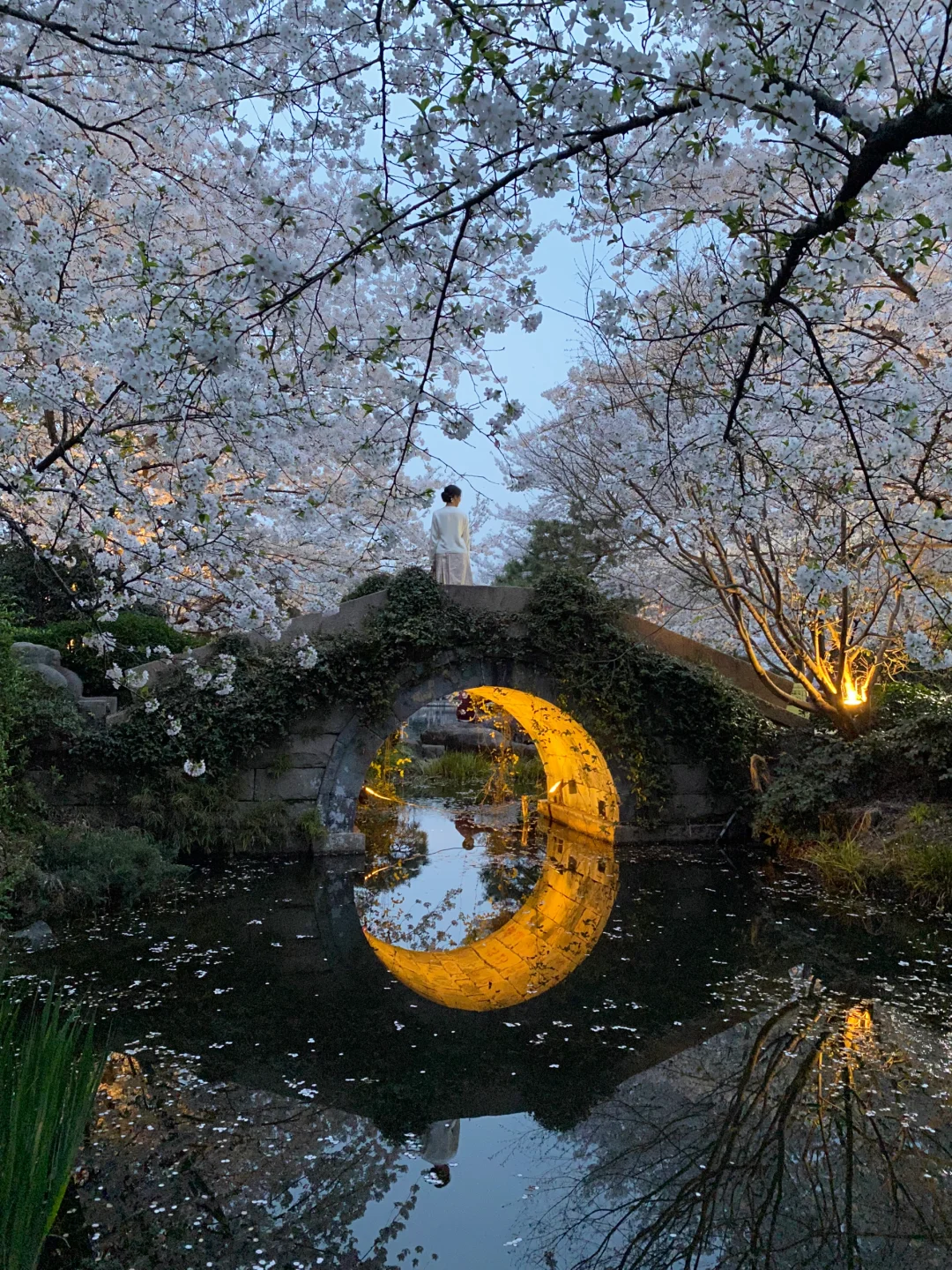 这是我买iPhone的意义🌸春夏秋冬Live~