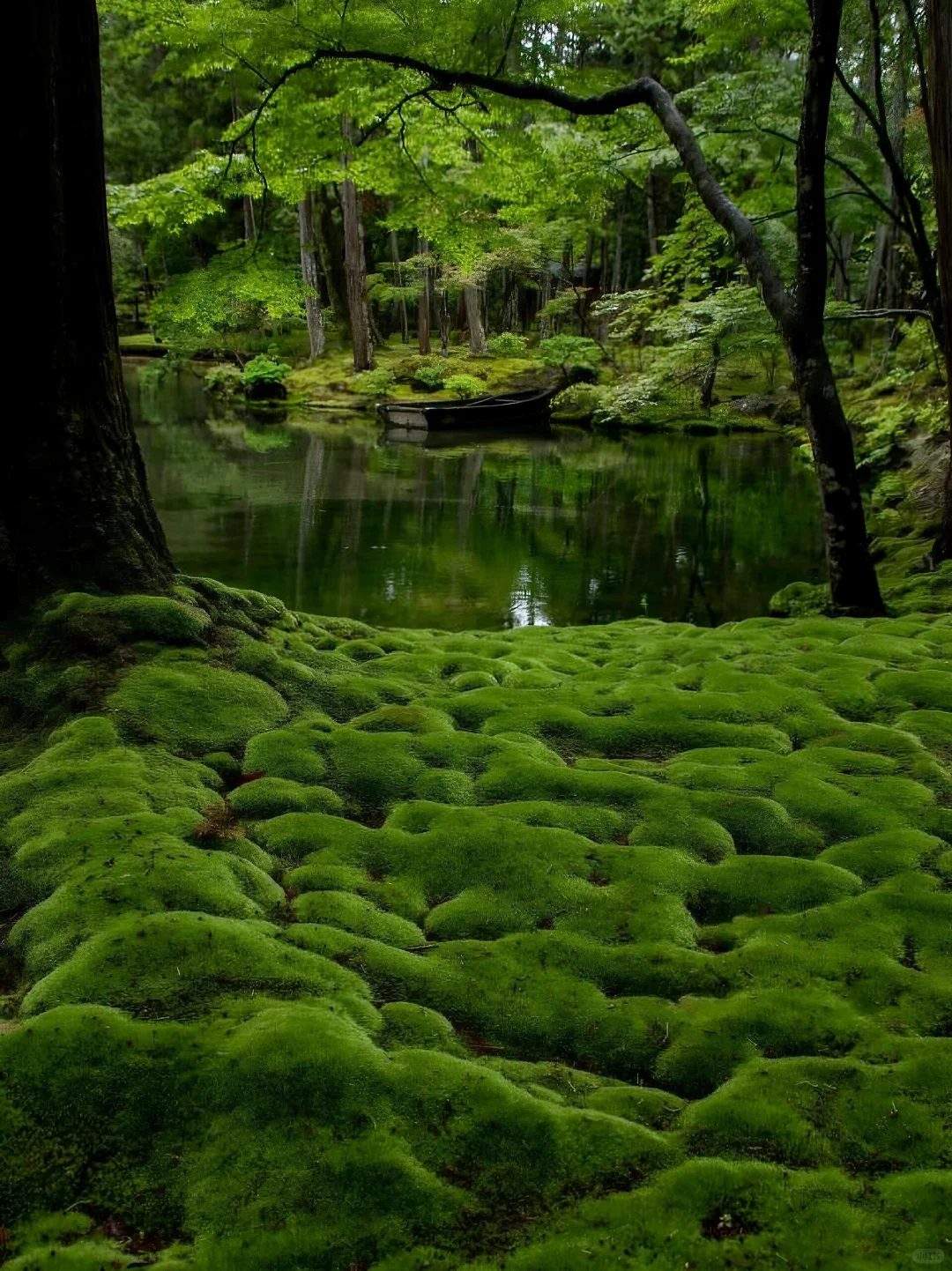 日本｜第三次来京都｜我的7️⃣个小众景点分享