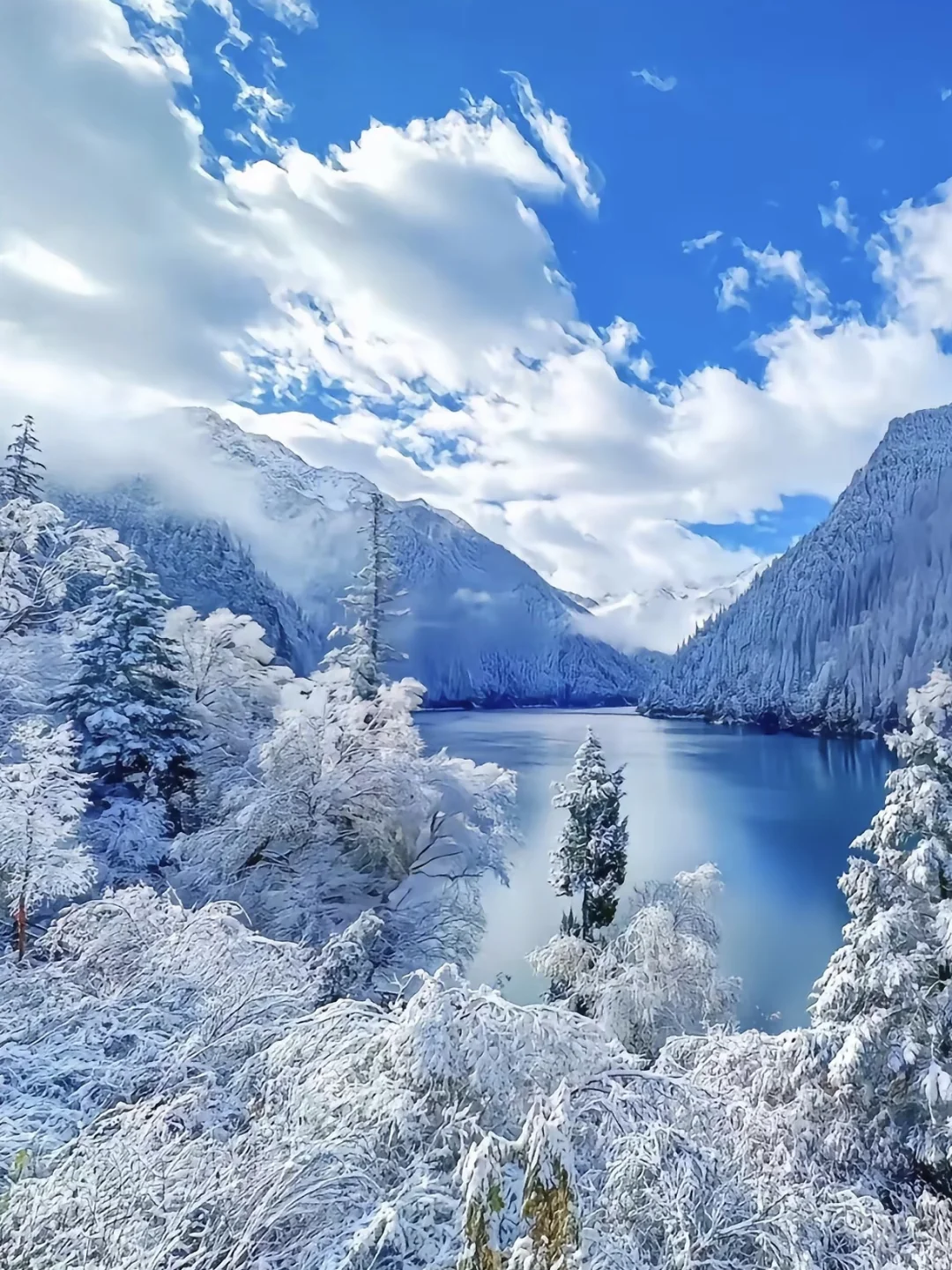 春节不回家，一个人去旅行也很快乐😁