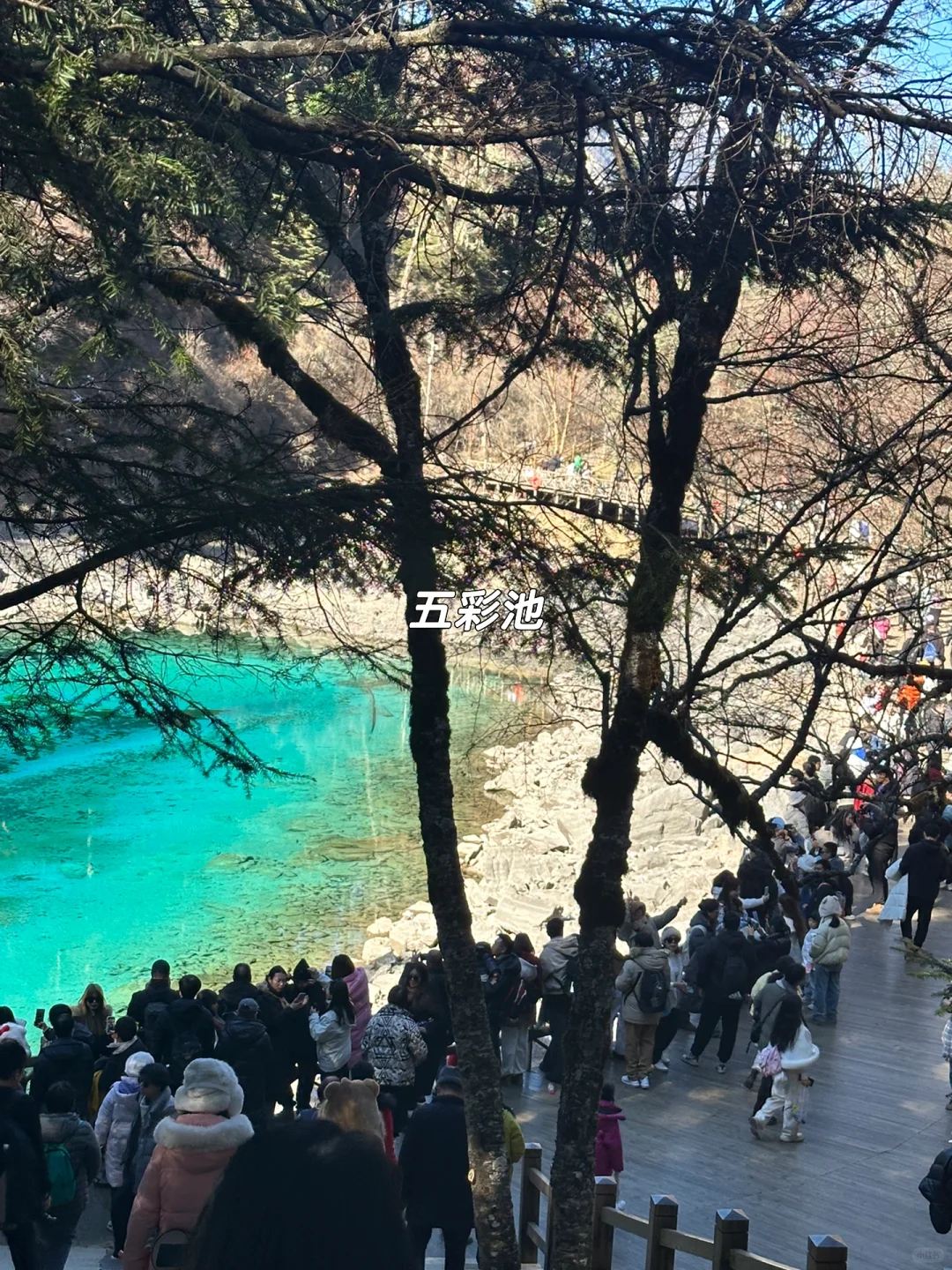 1月现状📍谁说这是淡季😱春节要来的宝听劝！