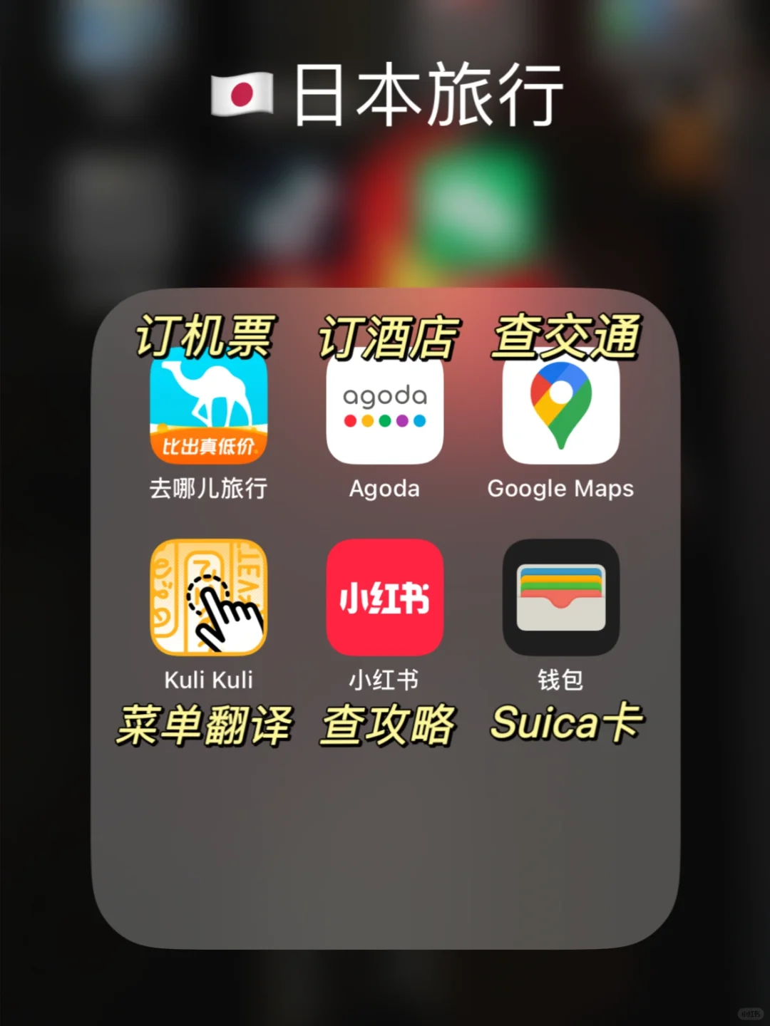 🇯🇵 我去日本的时候怎么没看到这篇笔记❗️