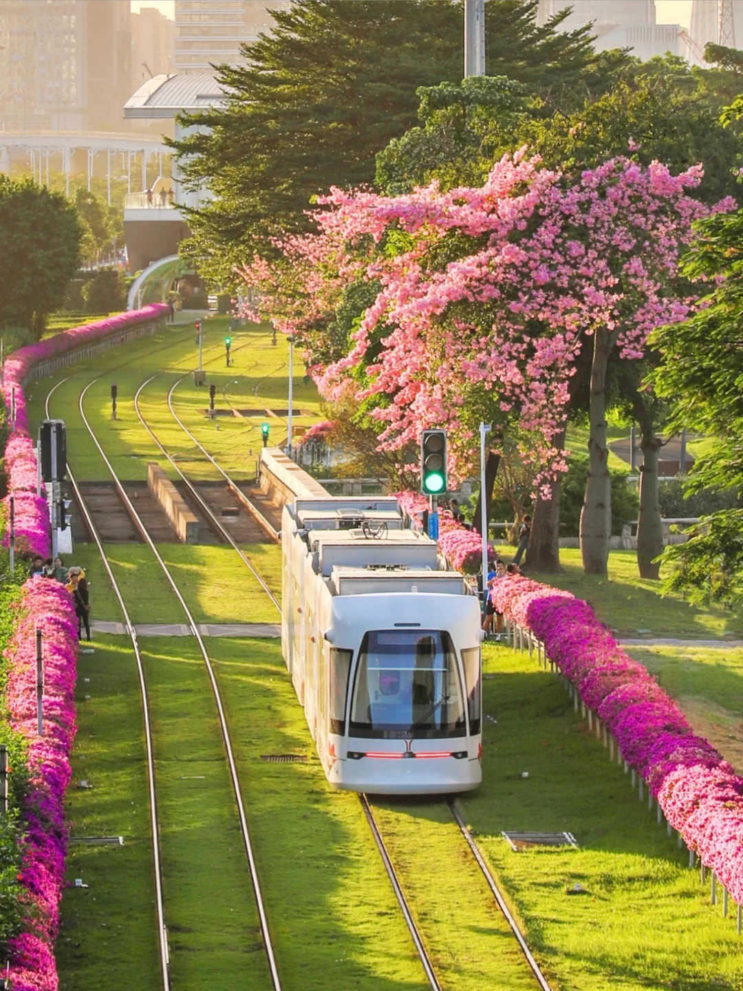 人生建议‼️离开广州前要拍的1️⃣5️⃣张照片