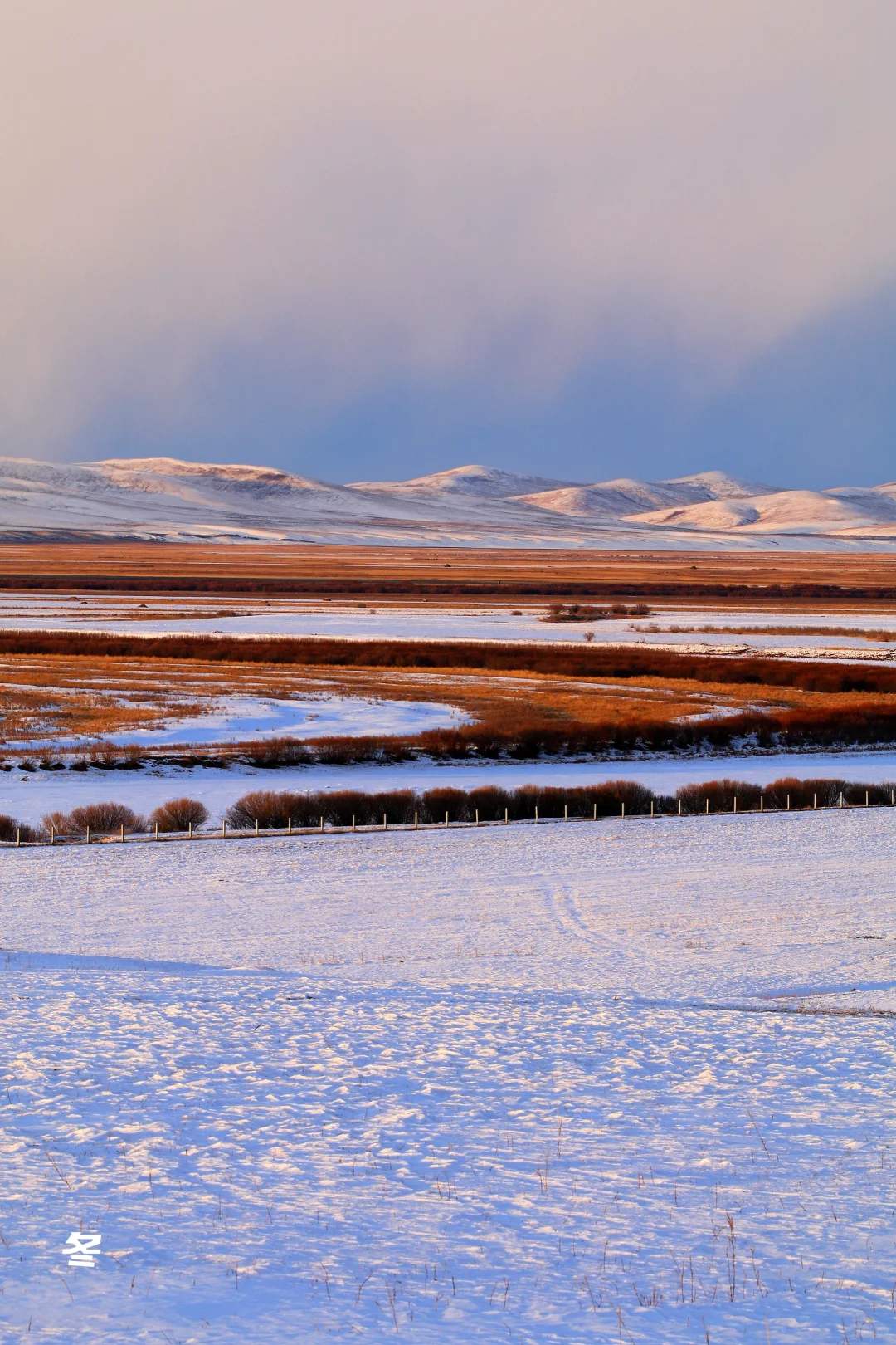 看了再见爱人4 想立刻飞去内蒙古 攻略有✅