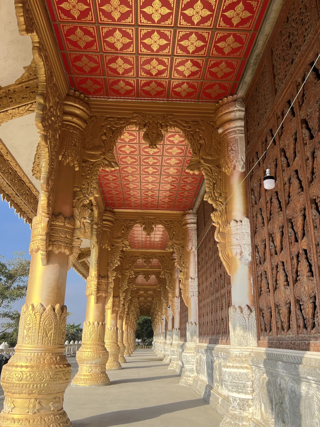 云南·瑞丽·傣王宫总佛寺·姐勒金塔·榕树王