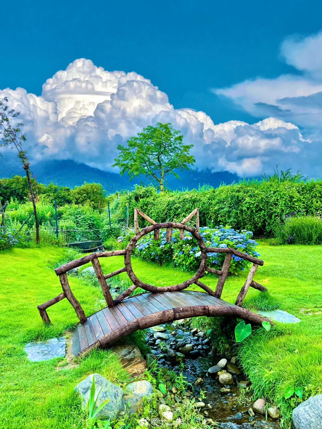 往返大理9次，总结了10个小众景点打卡地‼️