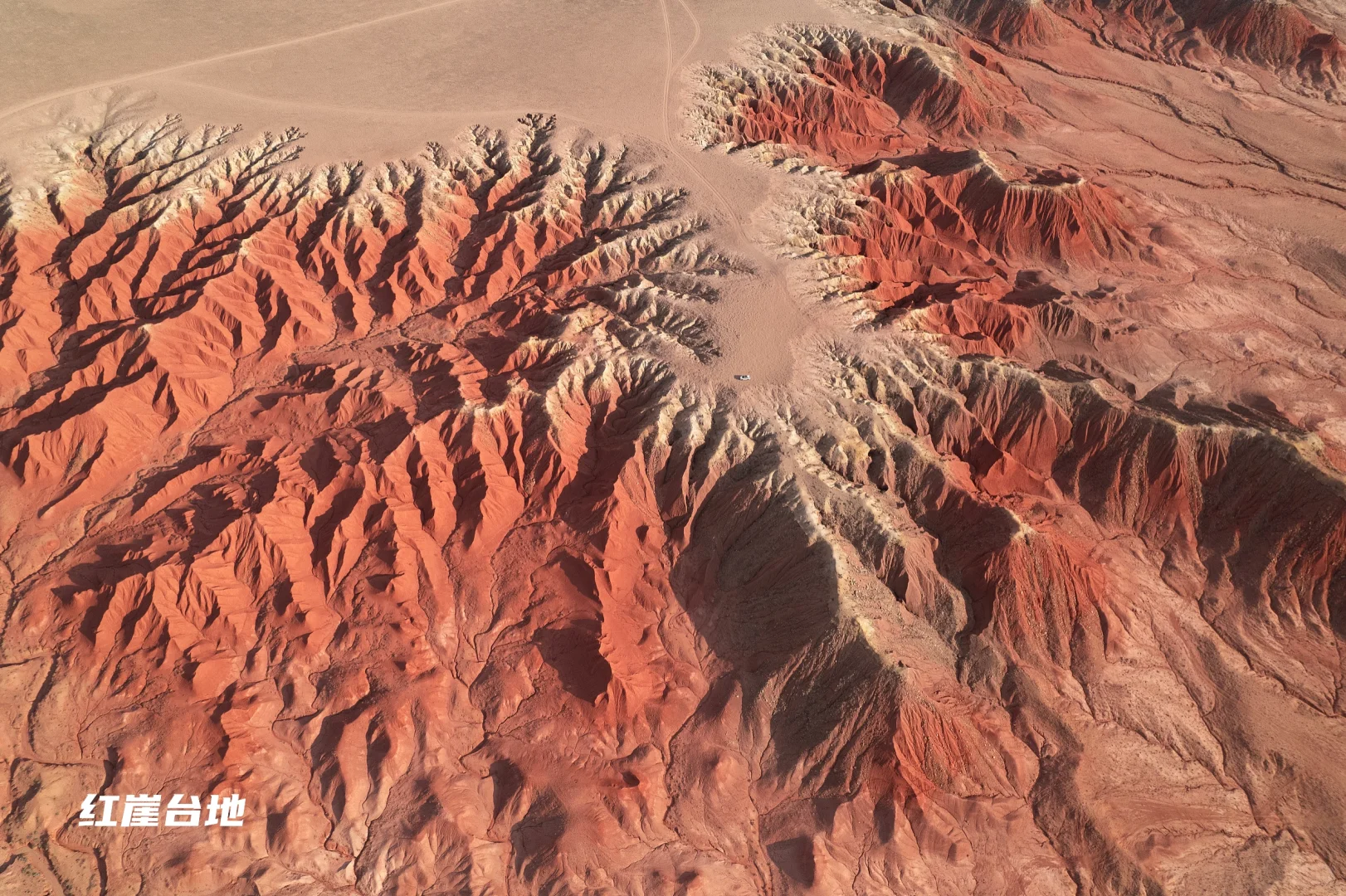 看了再见爱人4 想立刻飞去内蒙古 攻略有✅