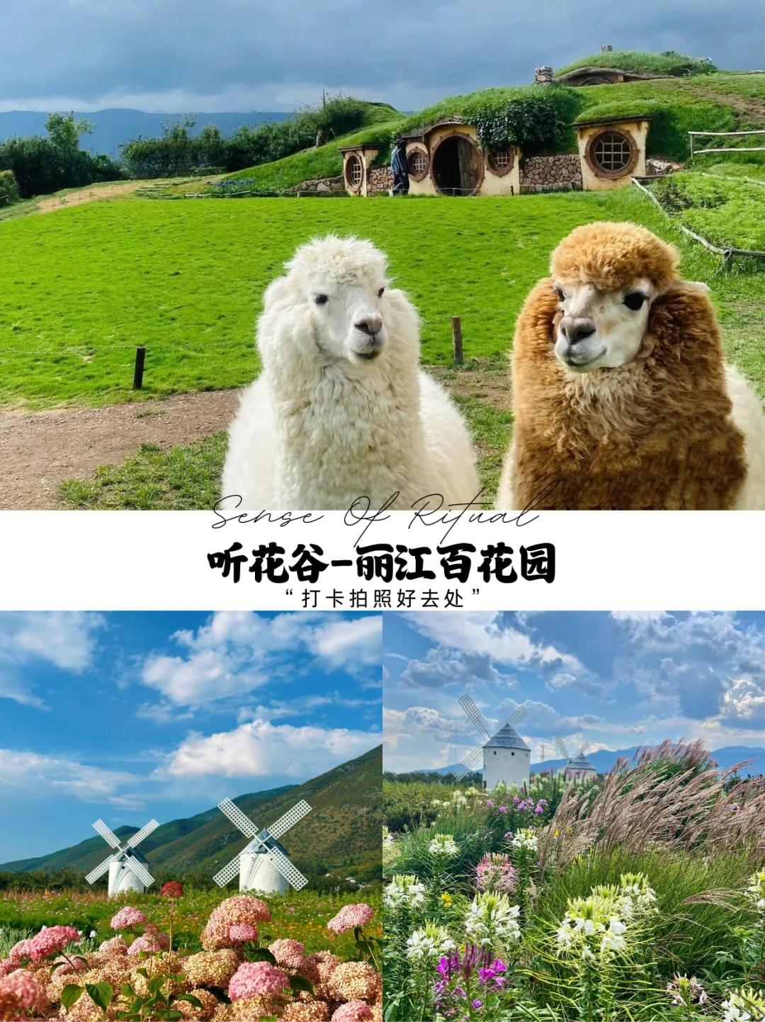 🌿丽江最值得去的10个景点，你去过几个？