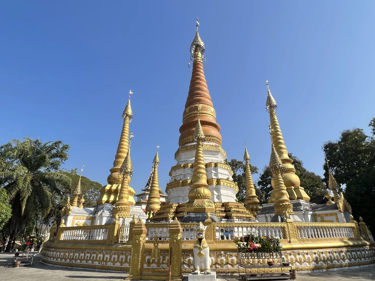 云南·瑞丽·傣王宫总佛寺·姐勒金塔·榕树王