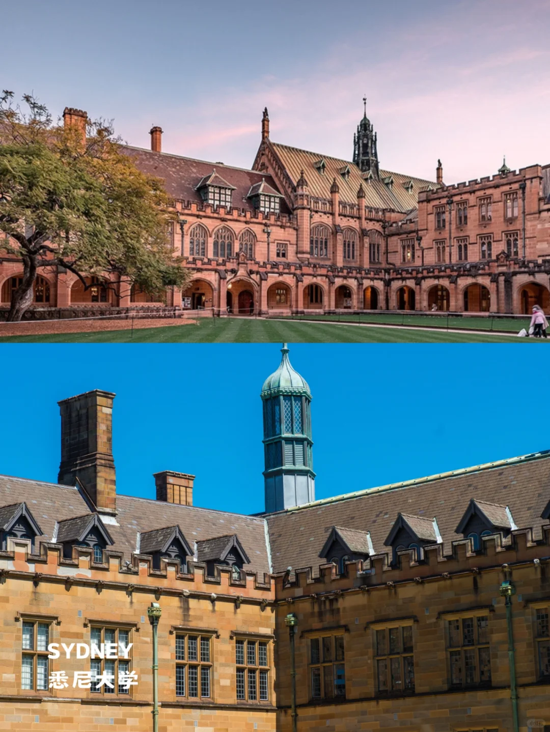 终于有人把悉尼景点地图画清楚了❗️