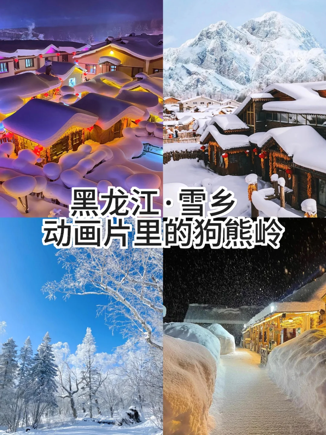 ⛄适合冬天❄去的十大城市推荐👇☃️