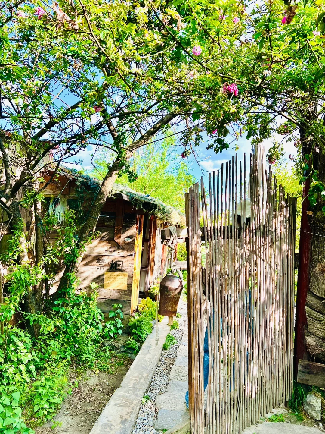 往返大理9次，总结了10个小众景点打卡地‼️