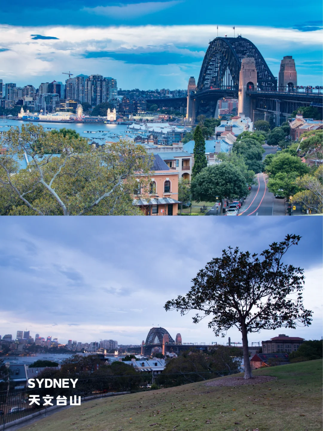 终于有人把悉尼景点地图画清楚了❗️