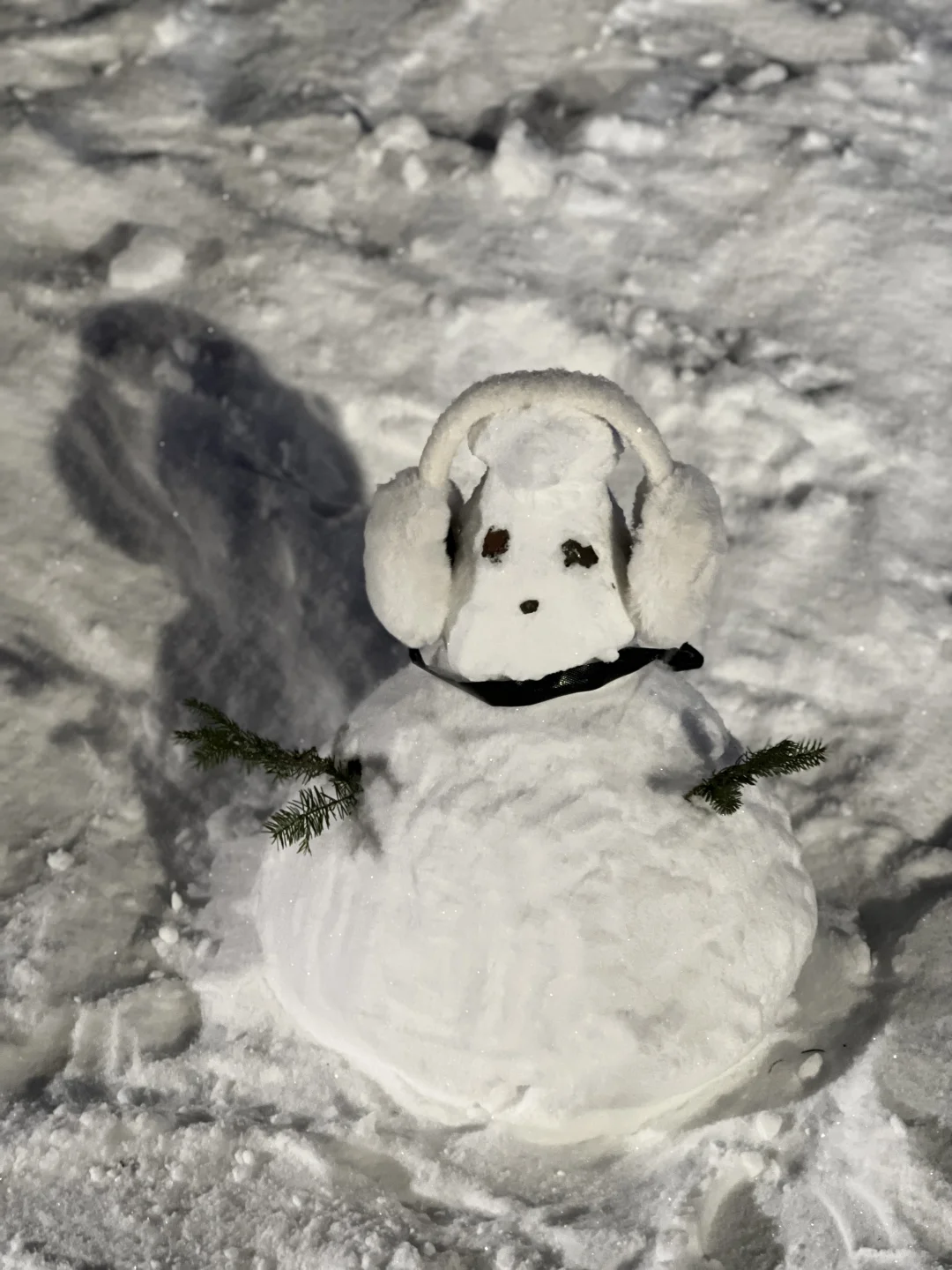 不是瑞士去不起 而是长白山更性价比