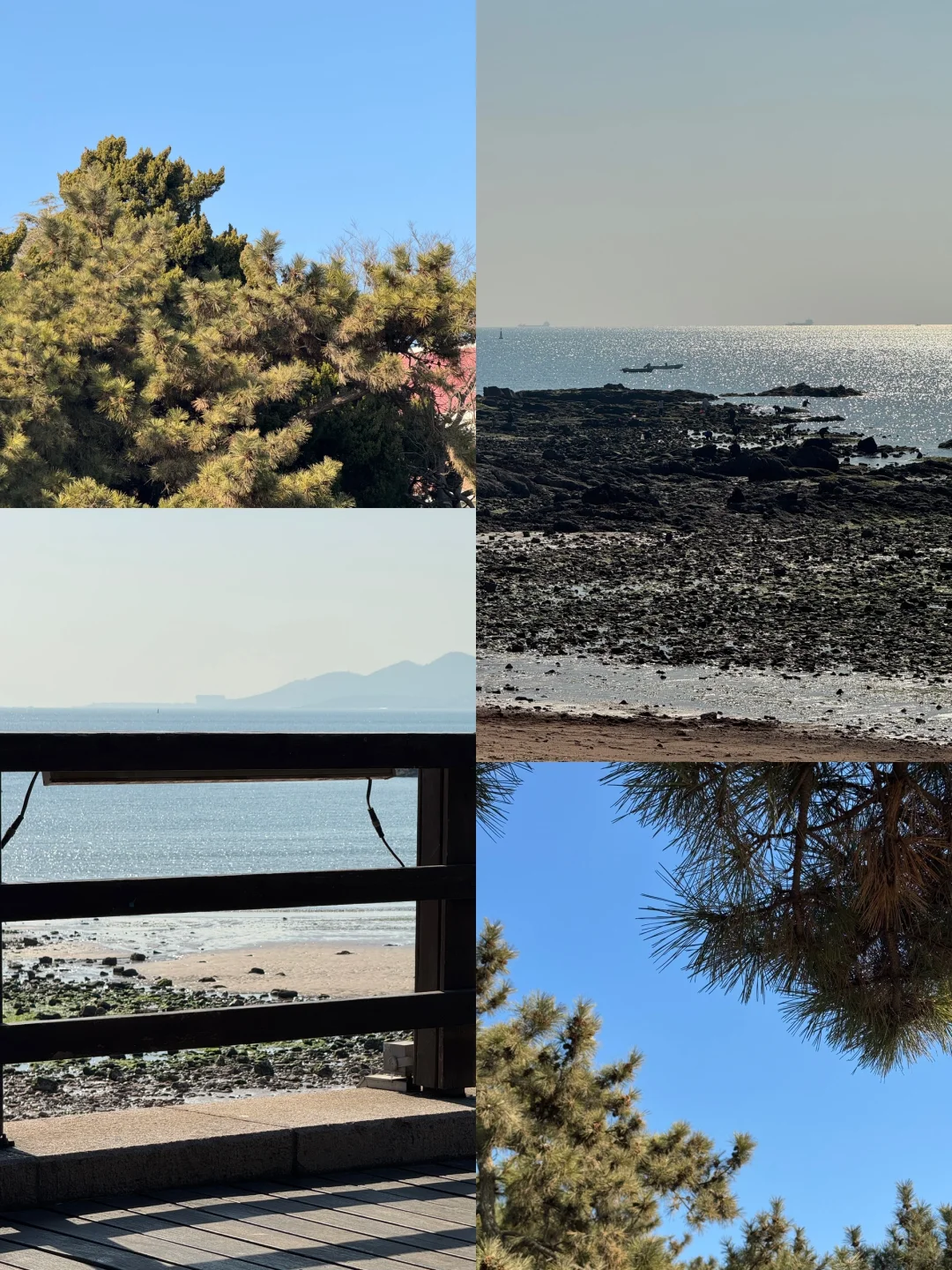 超绝P人青岛4天3晚旅游攻略（1.13)