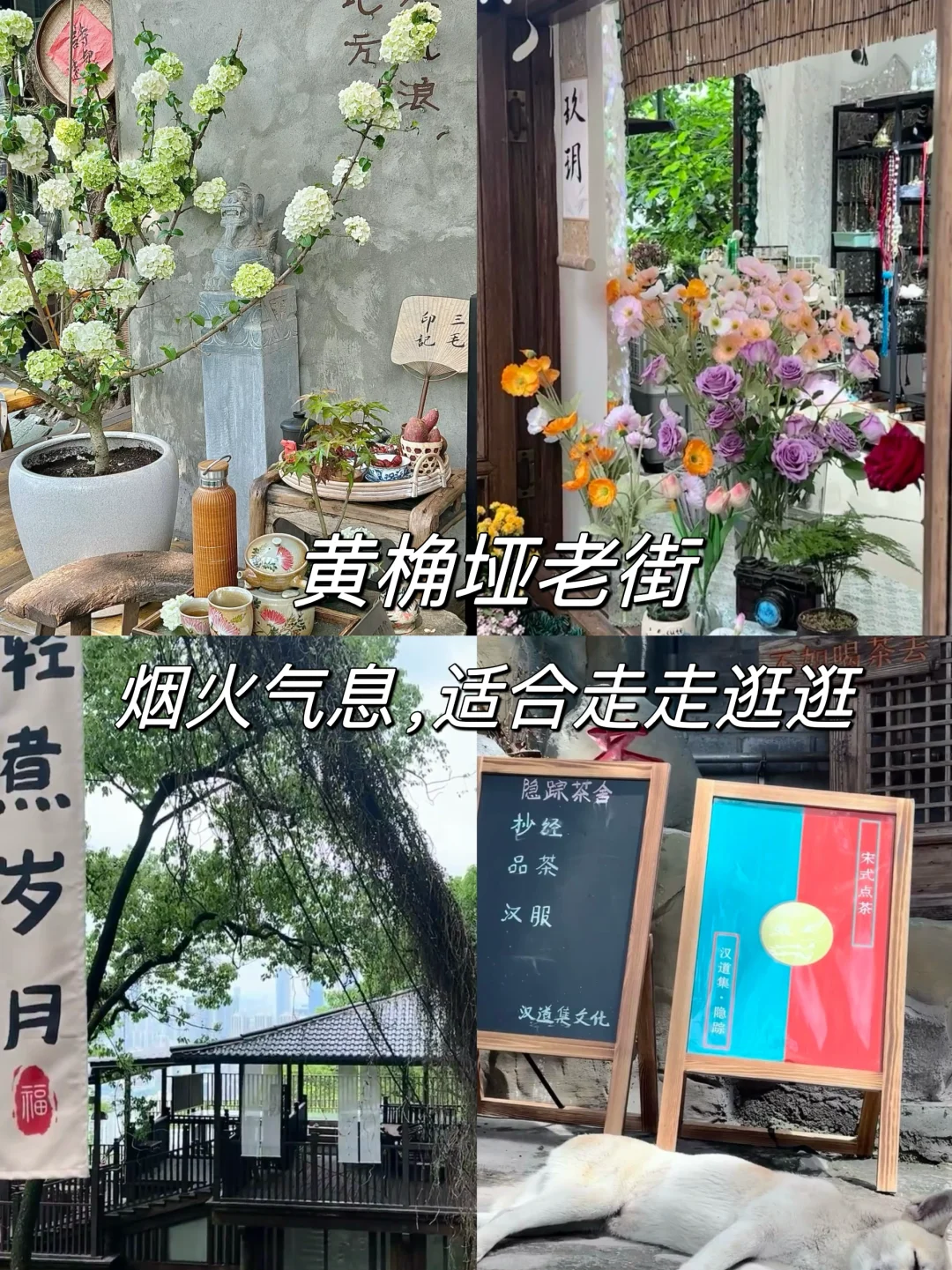 重庆9️⃣大小众旅游景点‼️建议赶紧收藏☑️