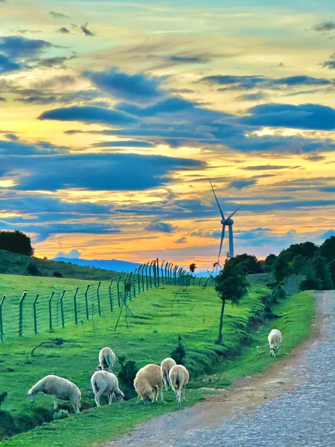 往返大理9次，总结了10个小众景点打卡地‼️