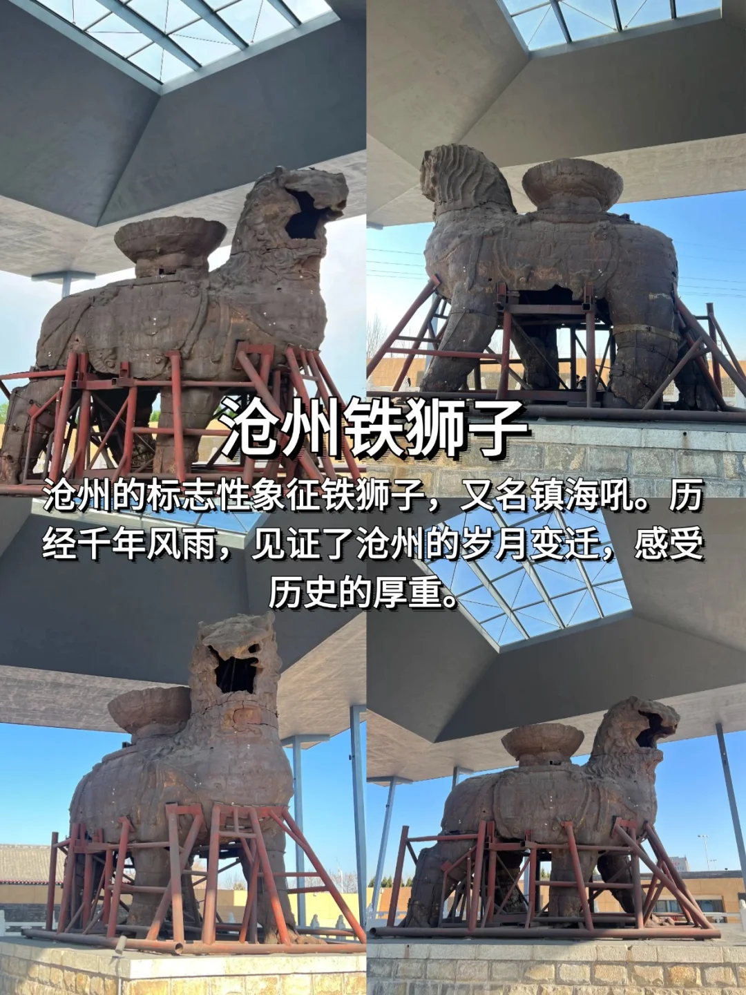 🦁狮城沧州 | 宝藏旅游攻略来袭