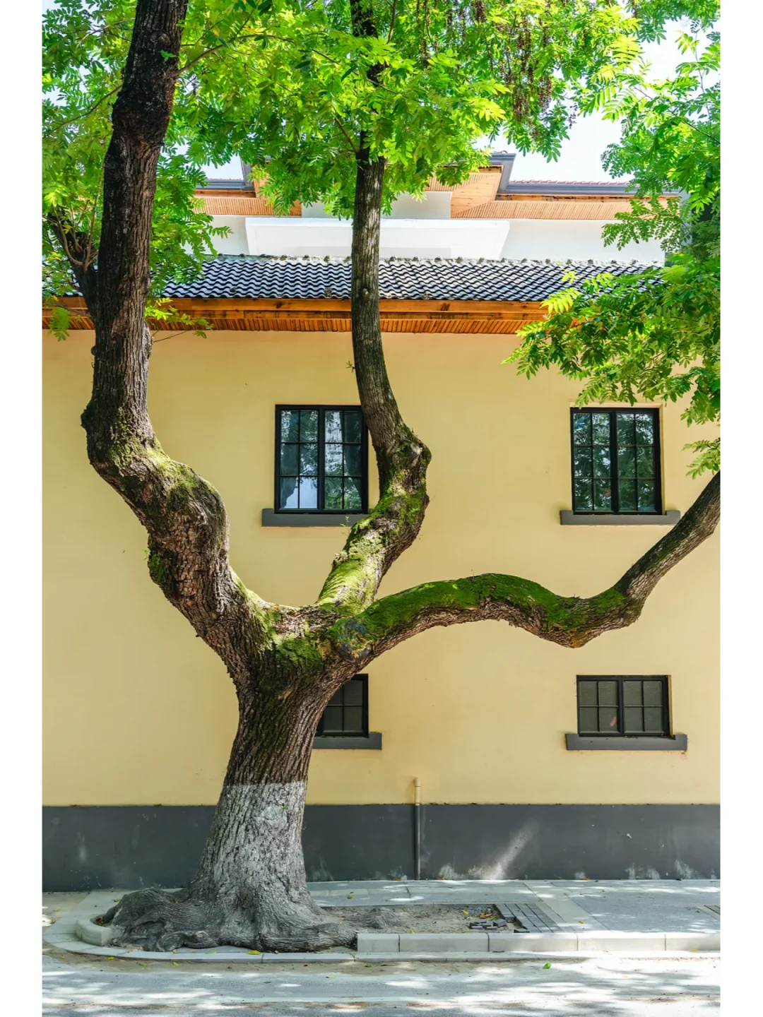 国庆南京四天三夜旅行攻略，超全保姆级攻略