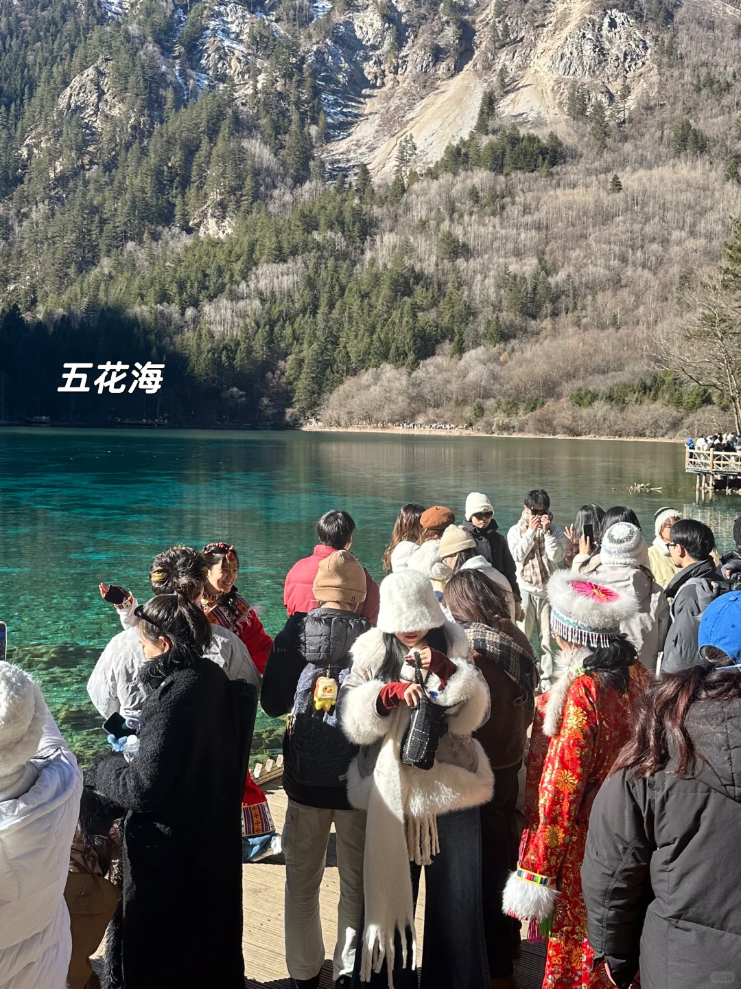 1月现状📍谁说这是淡季😱春节要来的宝听劝！