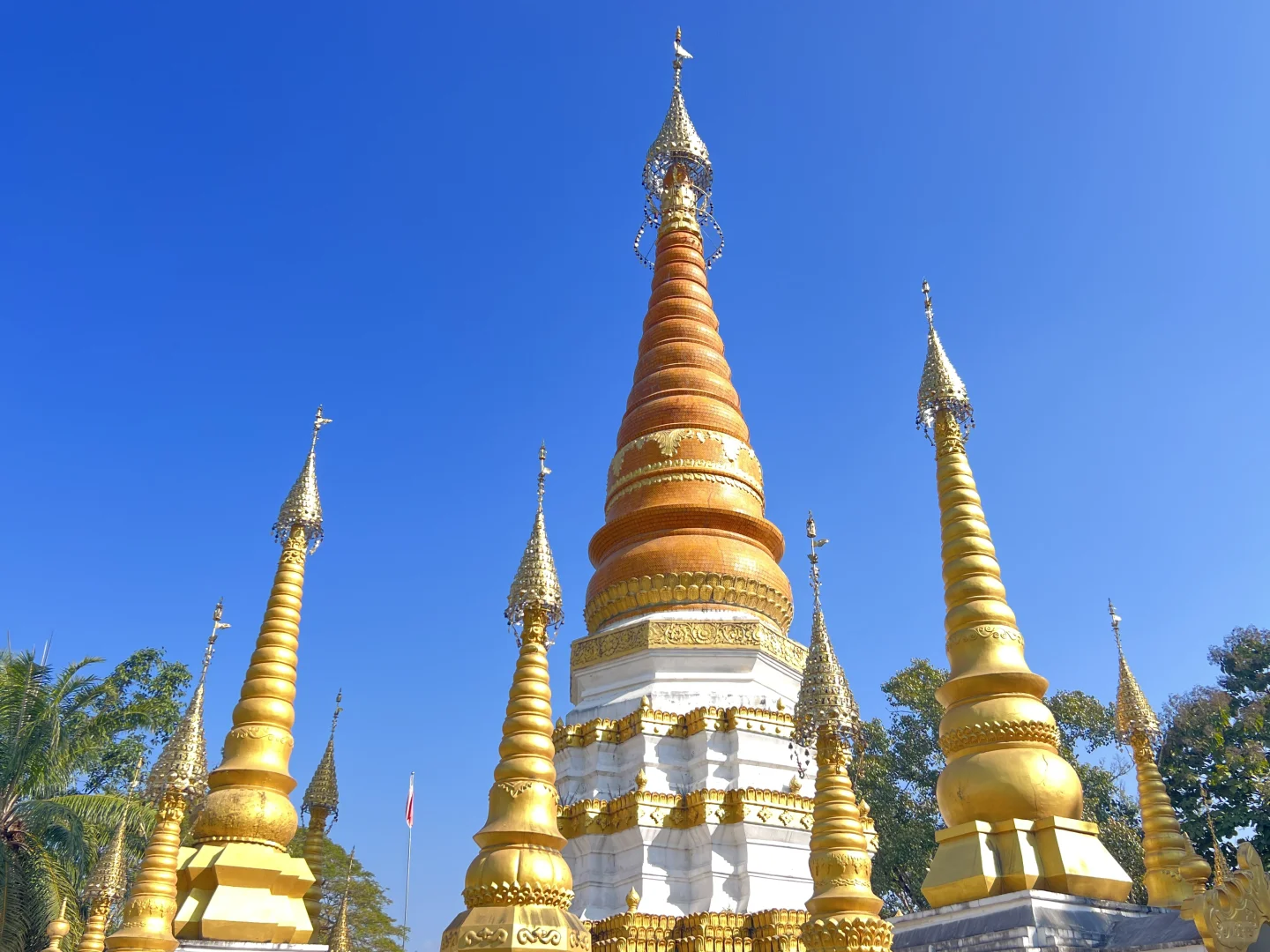 云南·瑞丽·傣王宫总佛寺·姐勒金塔·榕树王