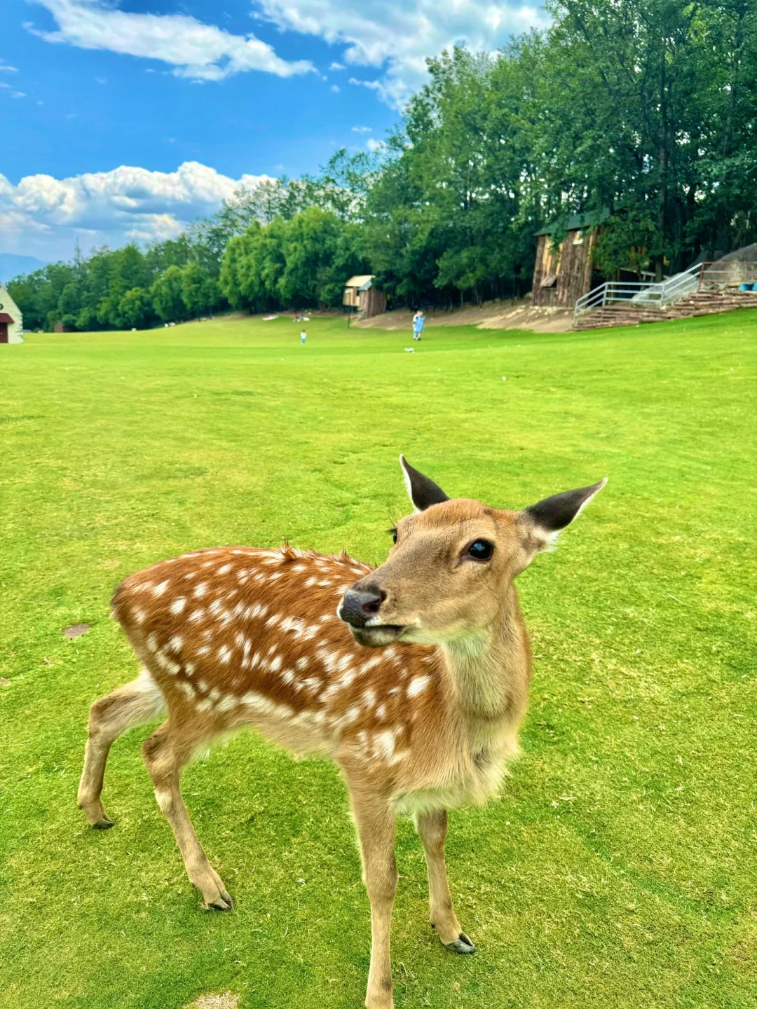 往返大理9次，总结了10个小众景点打卡地‼️