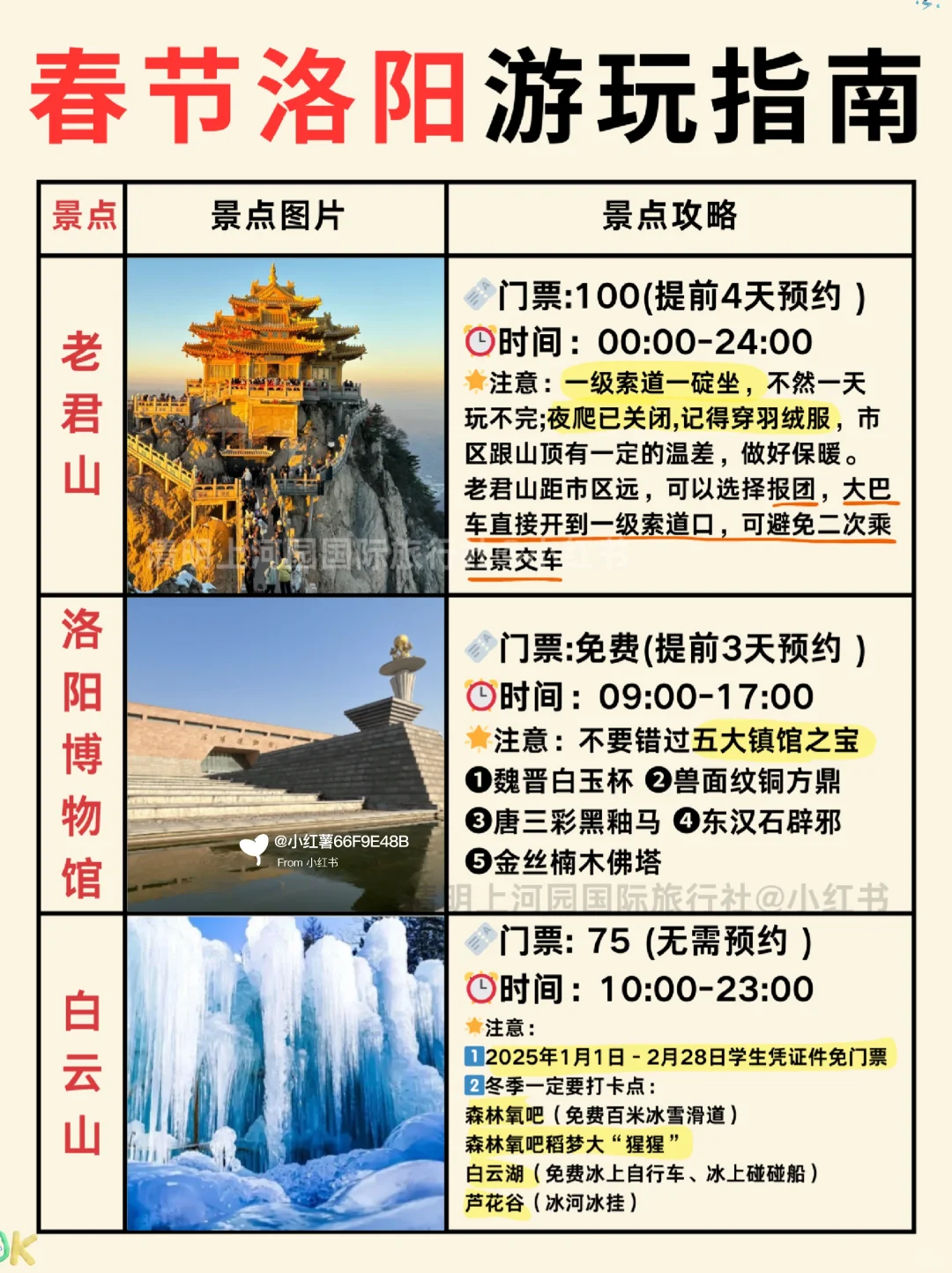 寒假春节要带娃来洛阳的姐妹🔥提前参考❗