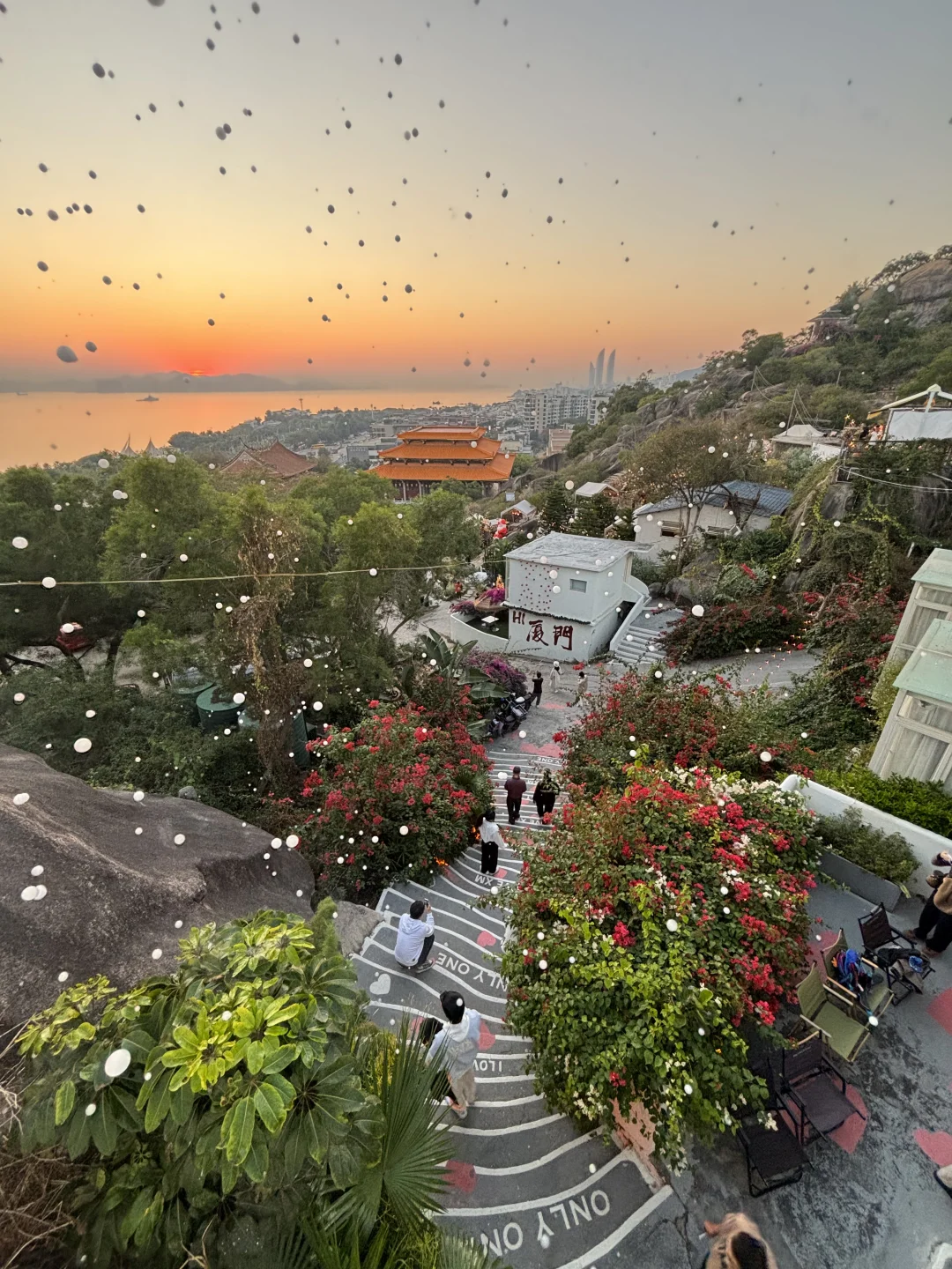 来厦门第一站！！！直奔这里！！最适合看夕阳的