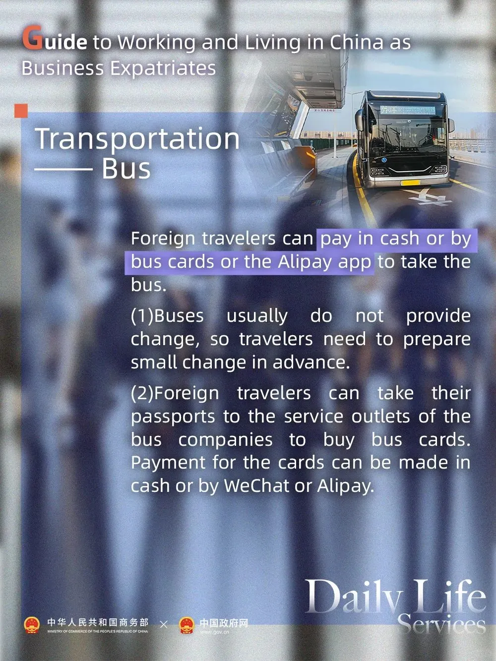 实用转发!给外国朋友的在华生活攻略👍