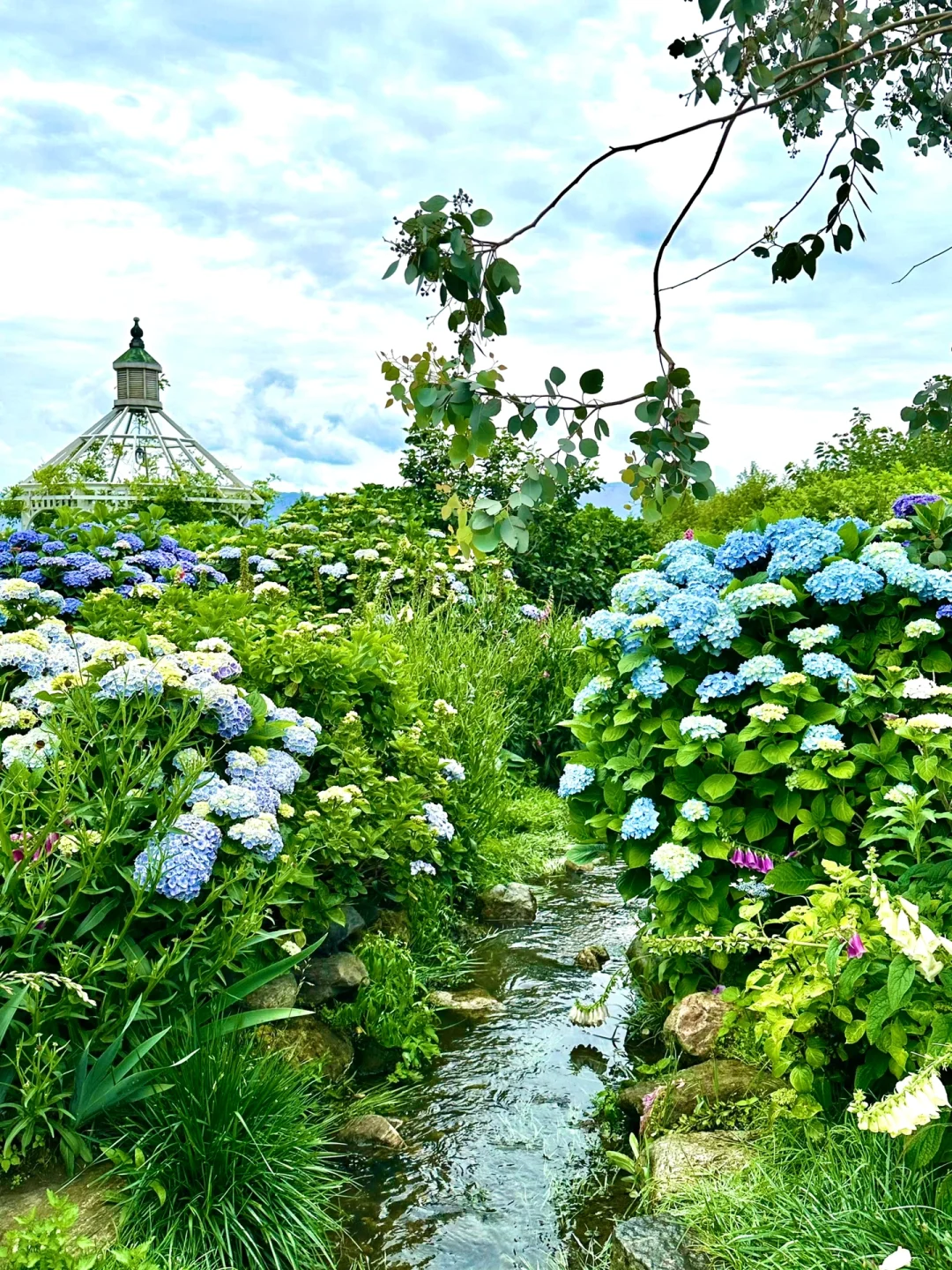 往返大理9次，总结了10个小众景点打卡地‼️