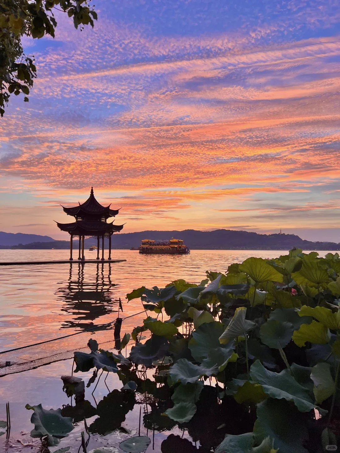 醉美西湖，一场诗意的邂逅之旅
