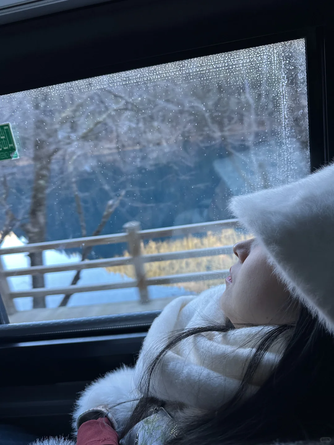 1月现状📍谁说这是淡季😱春节要来的宝听劝！