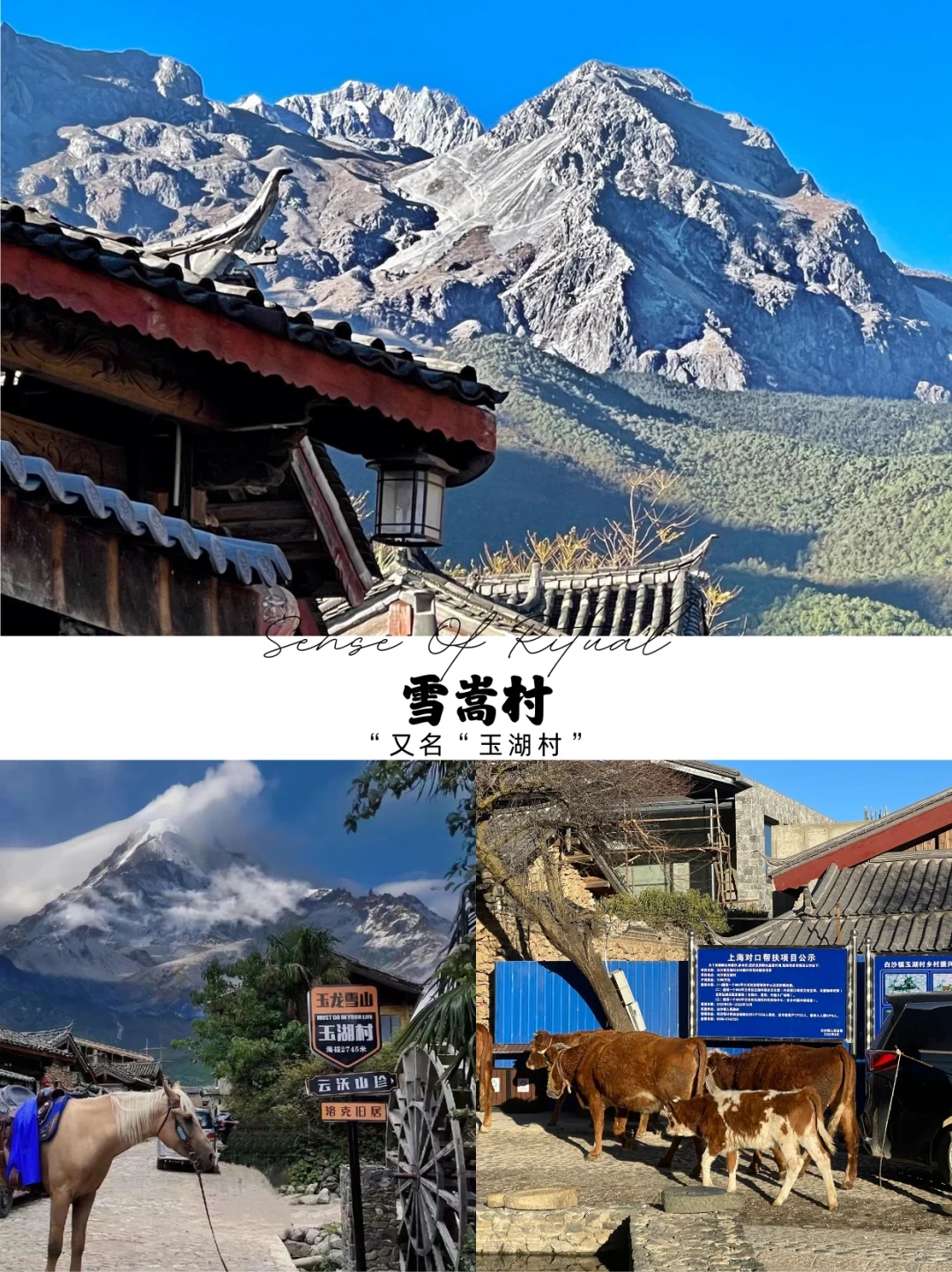 🌿丽江最值得去的10个景点，你去过几个？