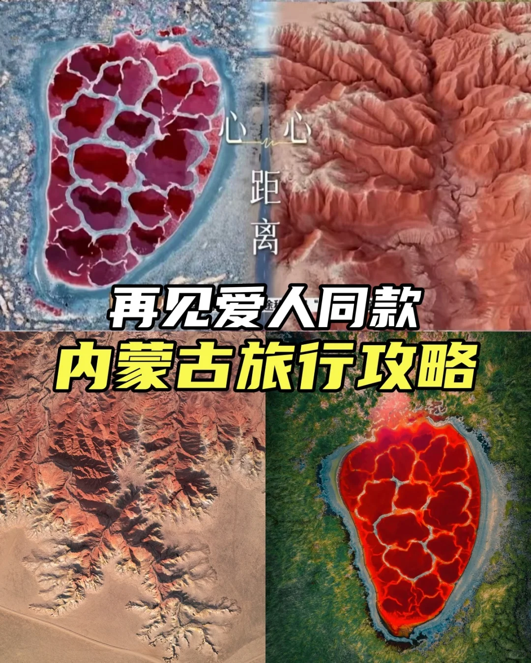 看了再见爱人4 想立刻飞去内蒙古 攻略有✅